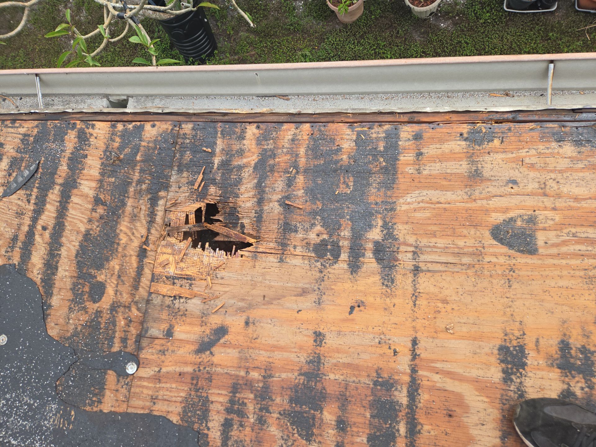 Project in Largo 33773 by Mitchell Roofing Company LLC 