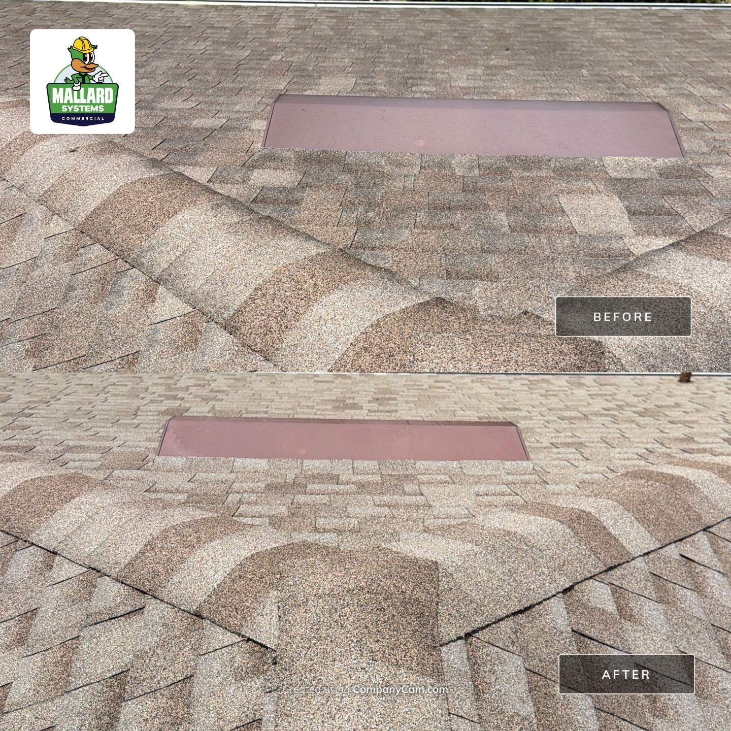 Professional Roof Cleaning and Shingle Treatment in Ocoee, Florida by Mallard Systems