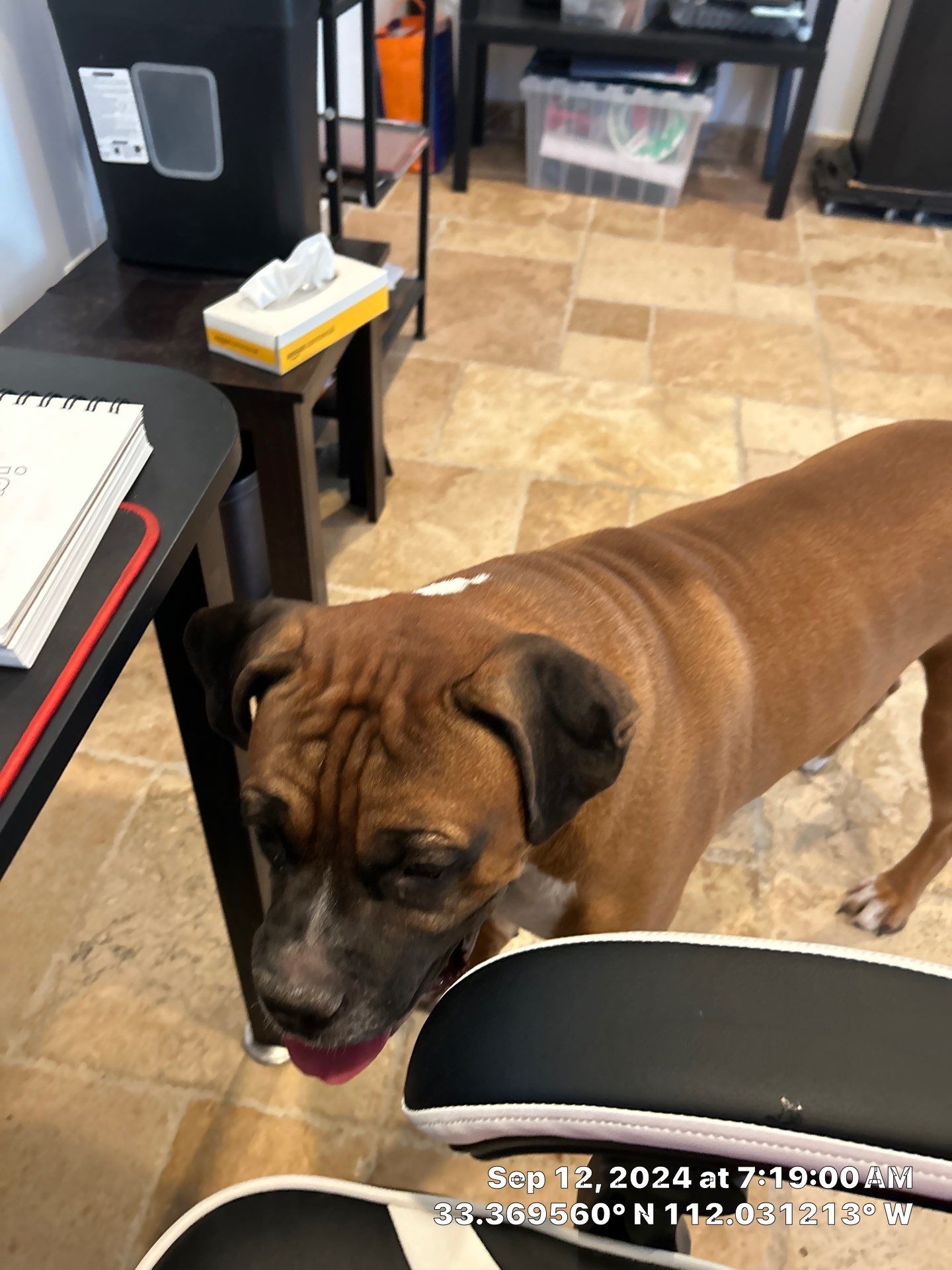 New BK location  by CompanyCam Sales Demo