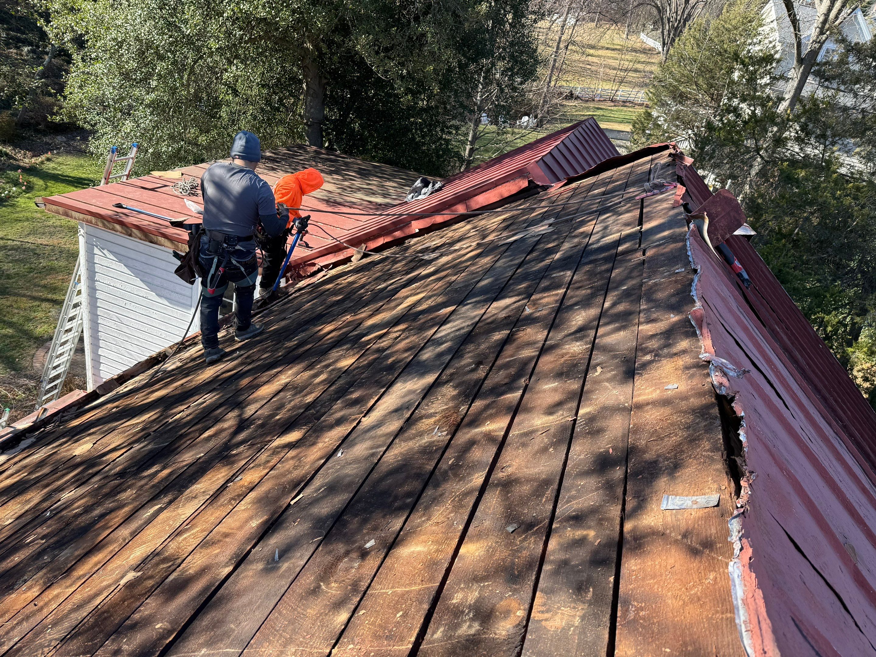 Alexandra: Residential Metal Roofing  by RM Banning, Inc.