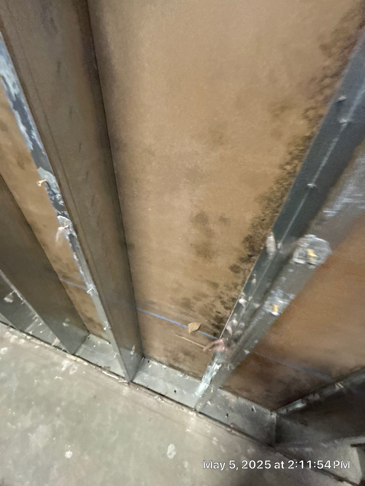 Parrish Mold Removal & Remediation  by Ampm Restoration Services 