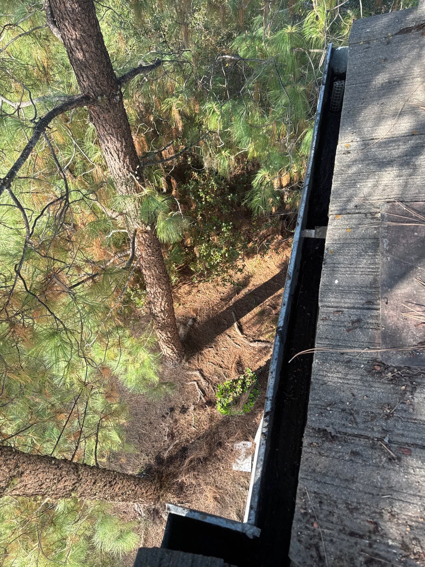 Commercial gutter cleaning Roseville & Rocklin, CA after photo with clean gutters