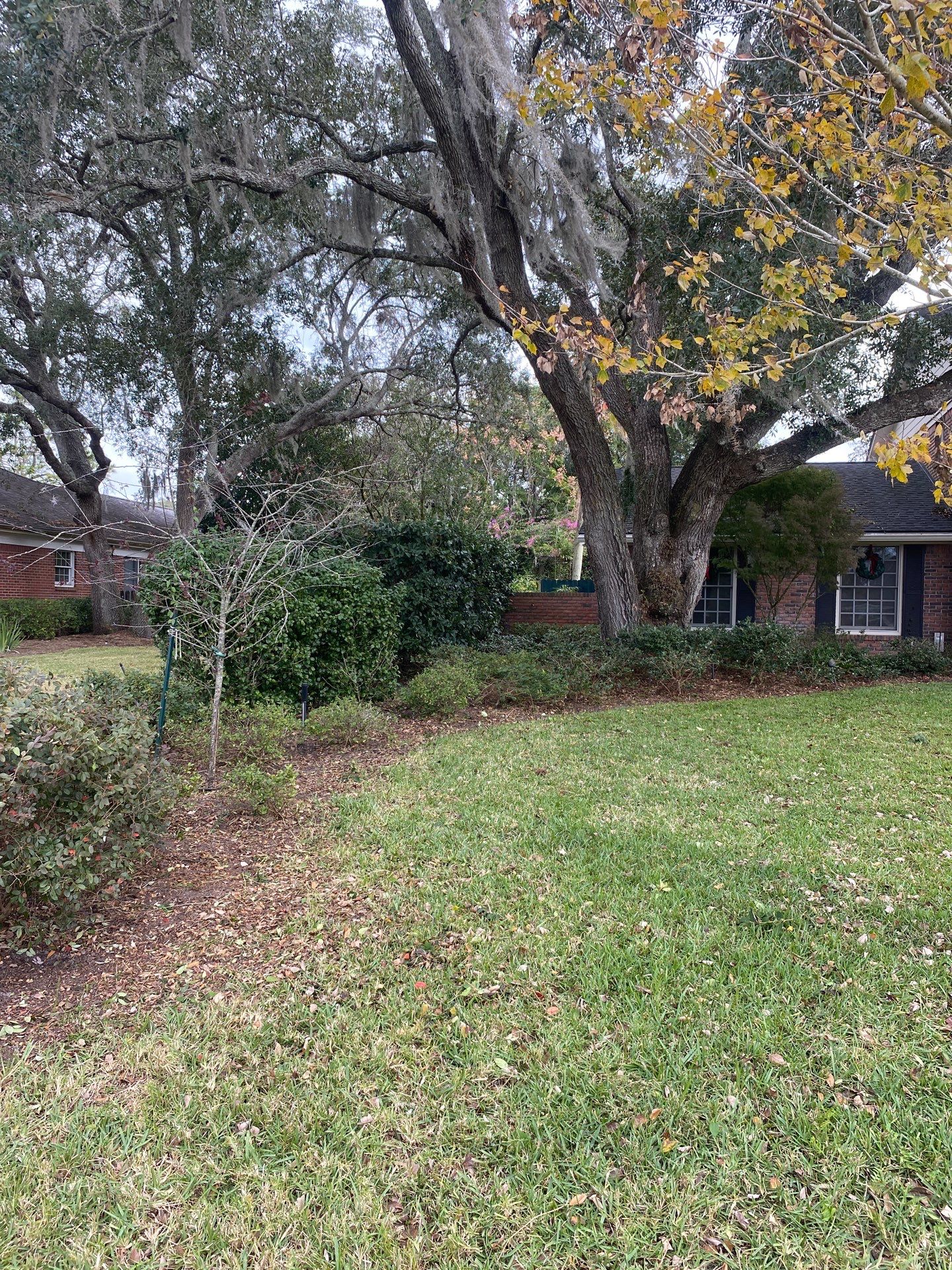 Deerwood Resident | Extreme Cleanup by ProGreen Services