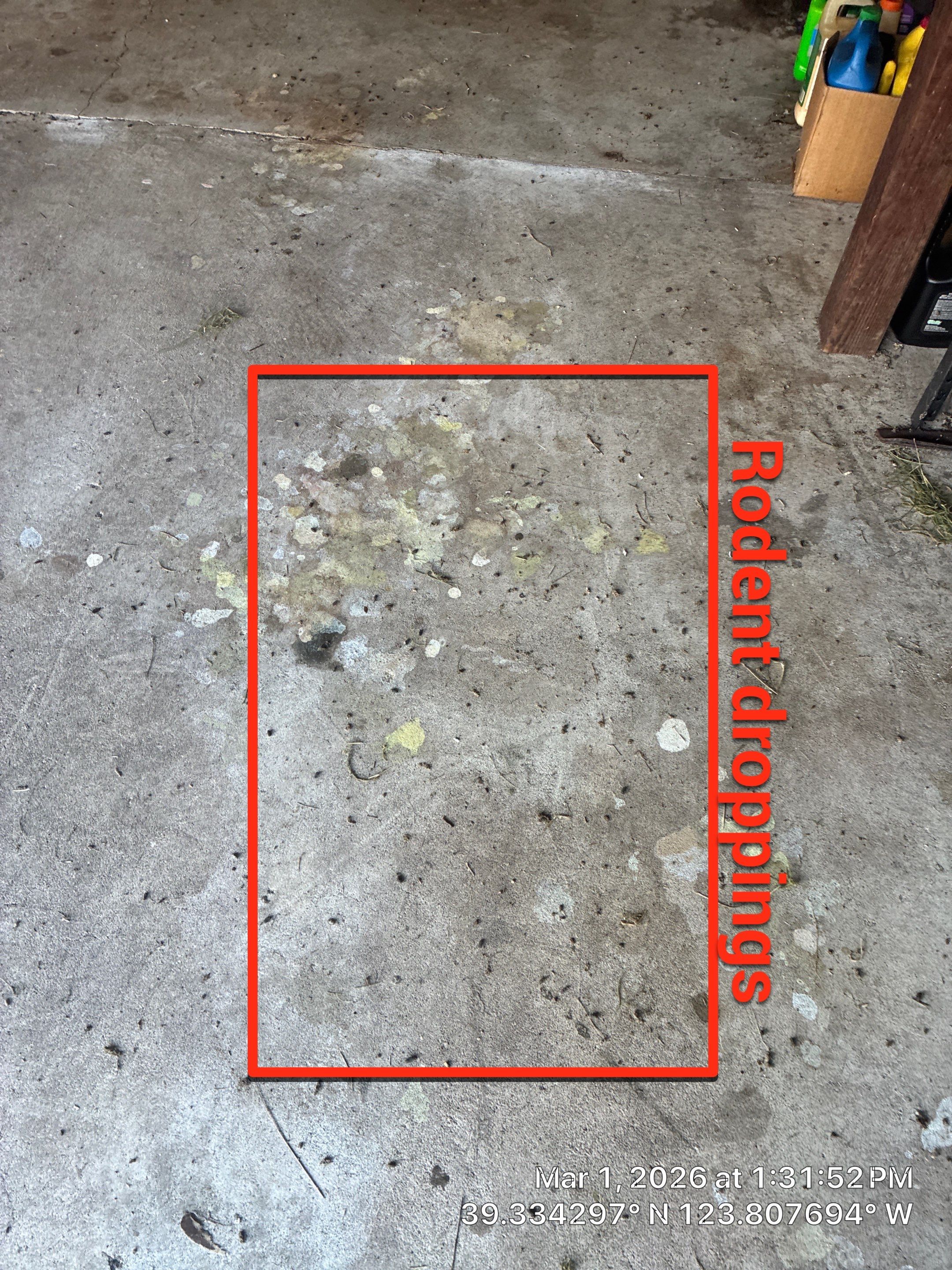 Project in Mendocino by 911 Hazmat Cleanup 