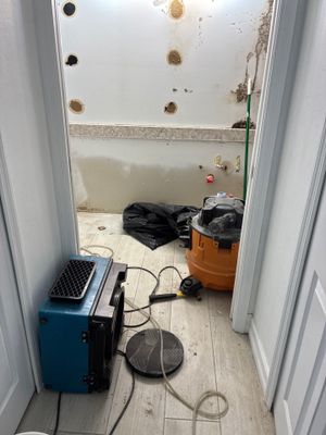Wet Carpet Drying — Cape Coral, FL