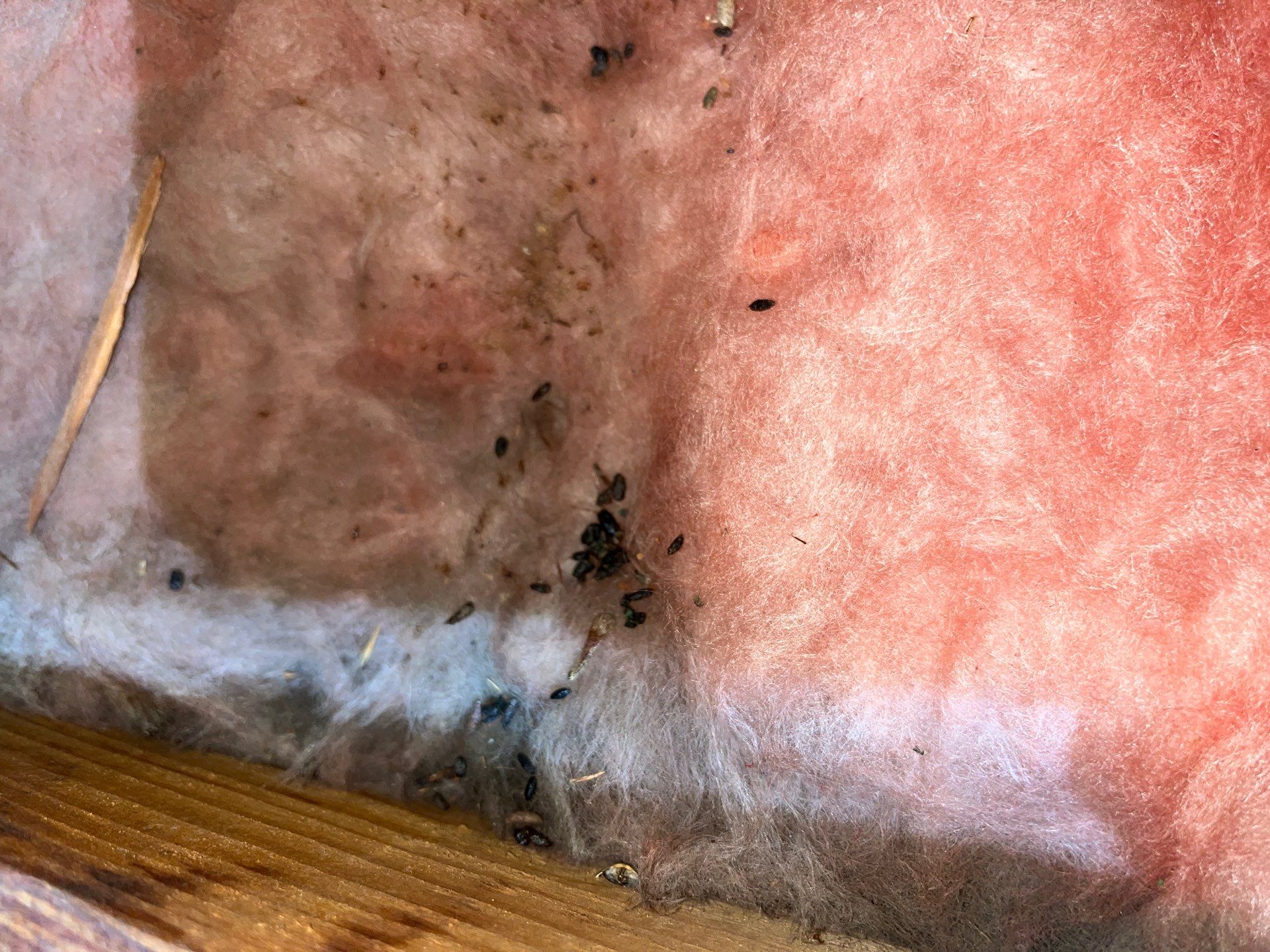 Attic Insulation and Air Sealing Upgrade in Mingo Junction by Home Environment Solutions
