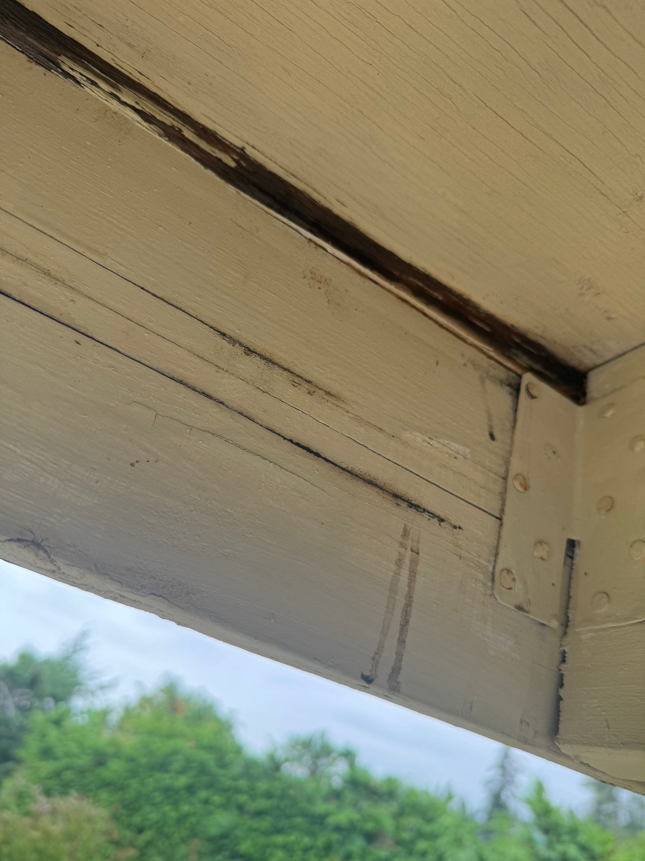 Exterior Window Trim Painting In North Vancouver  by YVR Construction Group