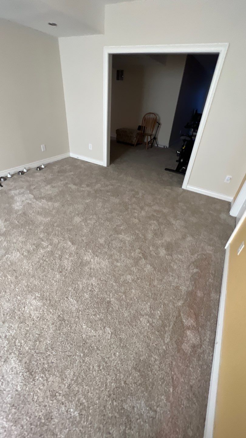 Mold Remediation by Accountable Home Services