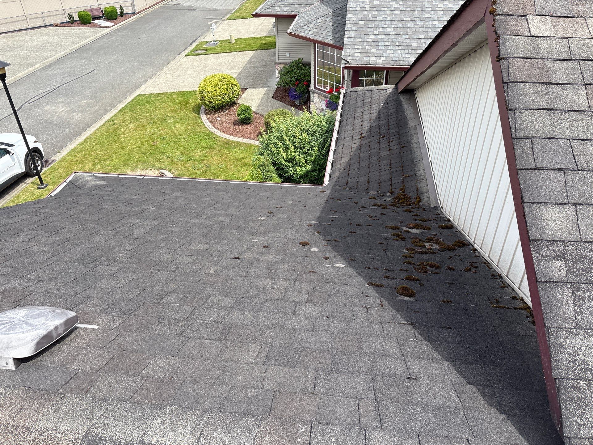 Residential Reroof Shingle - Pewter Grey by Top Notch Roofing Inc