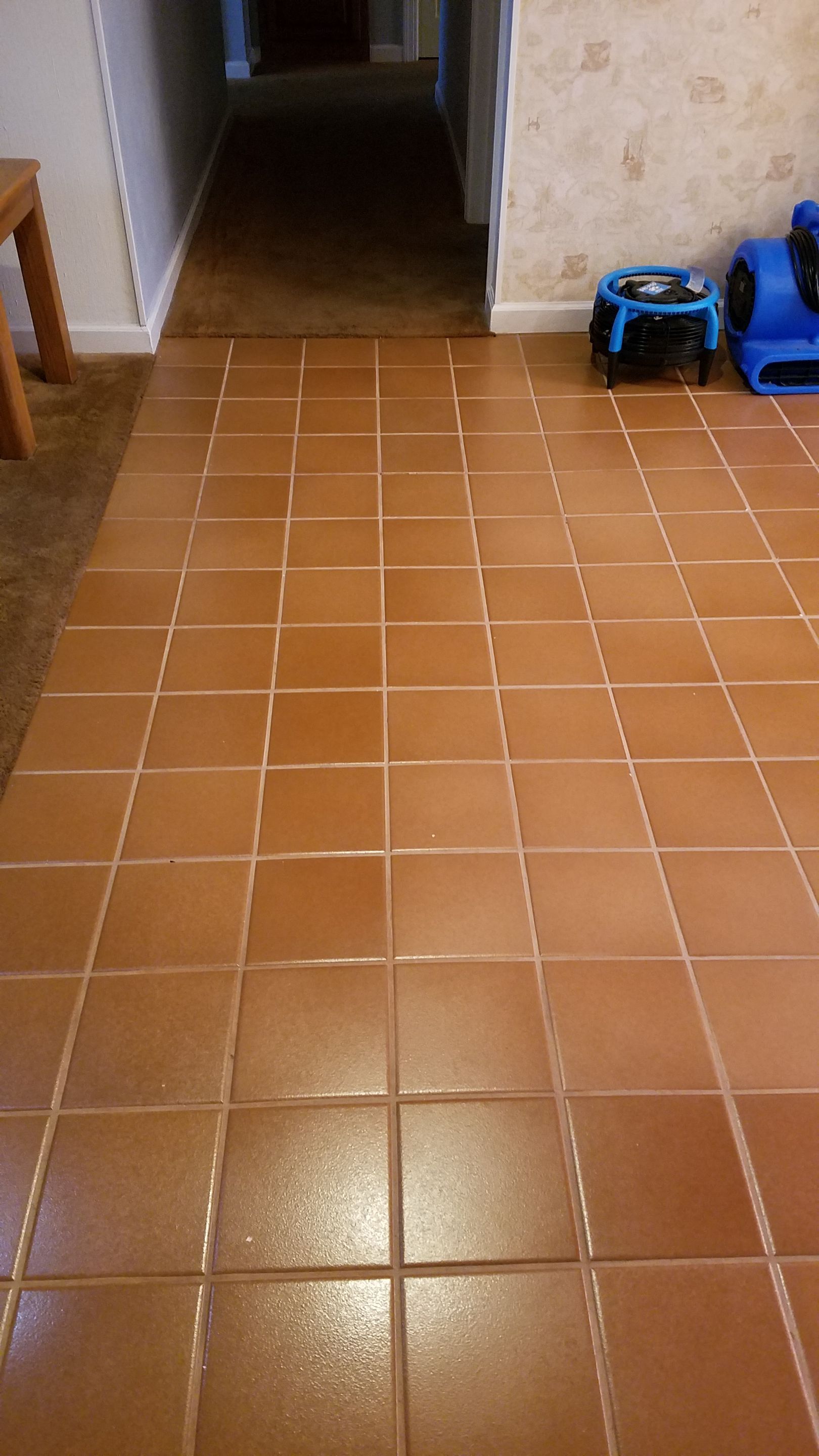 Cleaning Tile, Never Cleaned Before by Ardent Carpet Restore LLC