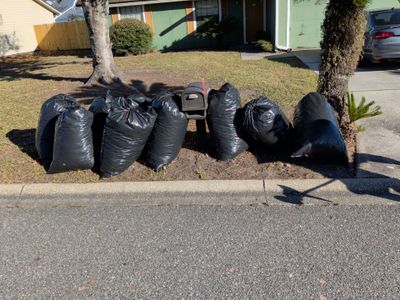 Residential Leaf Removal Service — Westside Jacksonville