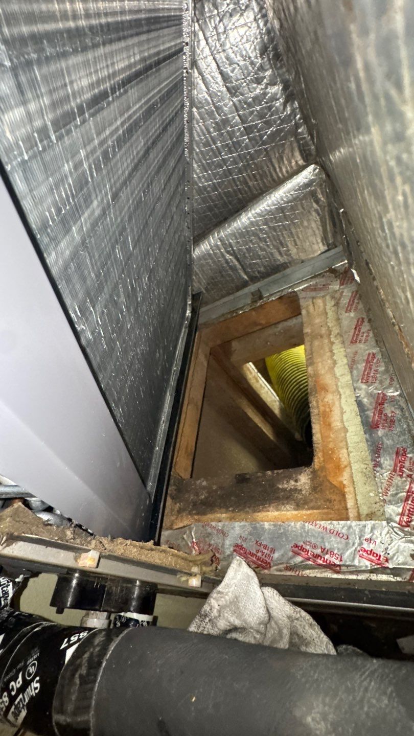Extremely Dirty Air Duct Cleaning in Fruitland Park by Hygienic Air, Inc