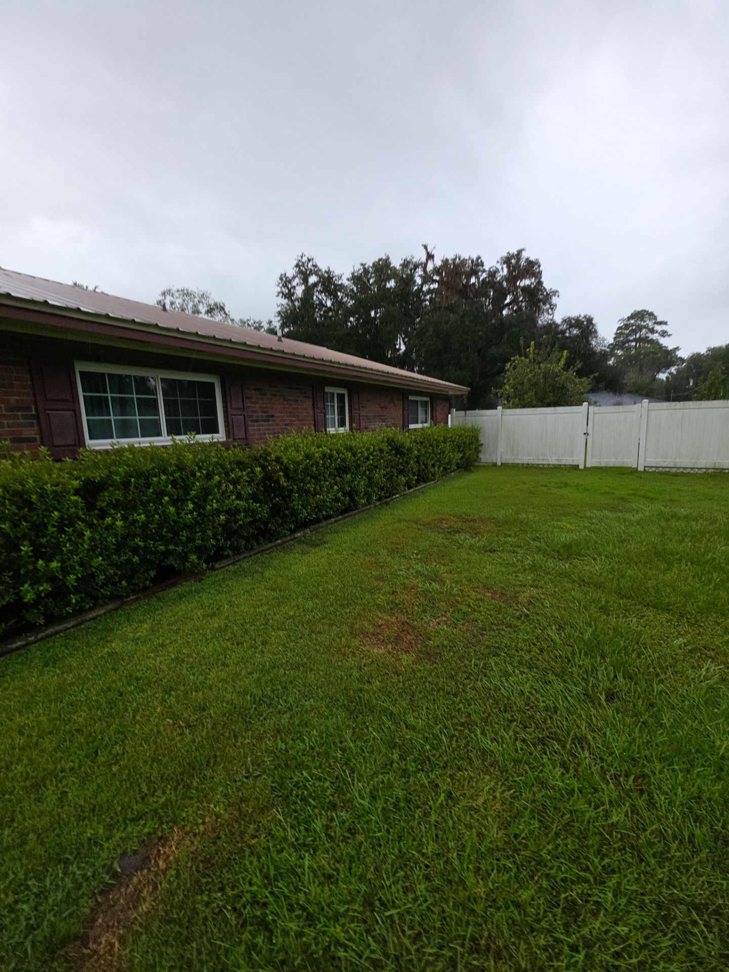Energy-Efficient White Vinyl Window Replacement in Lake City, Florida by Windows & Doors Store