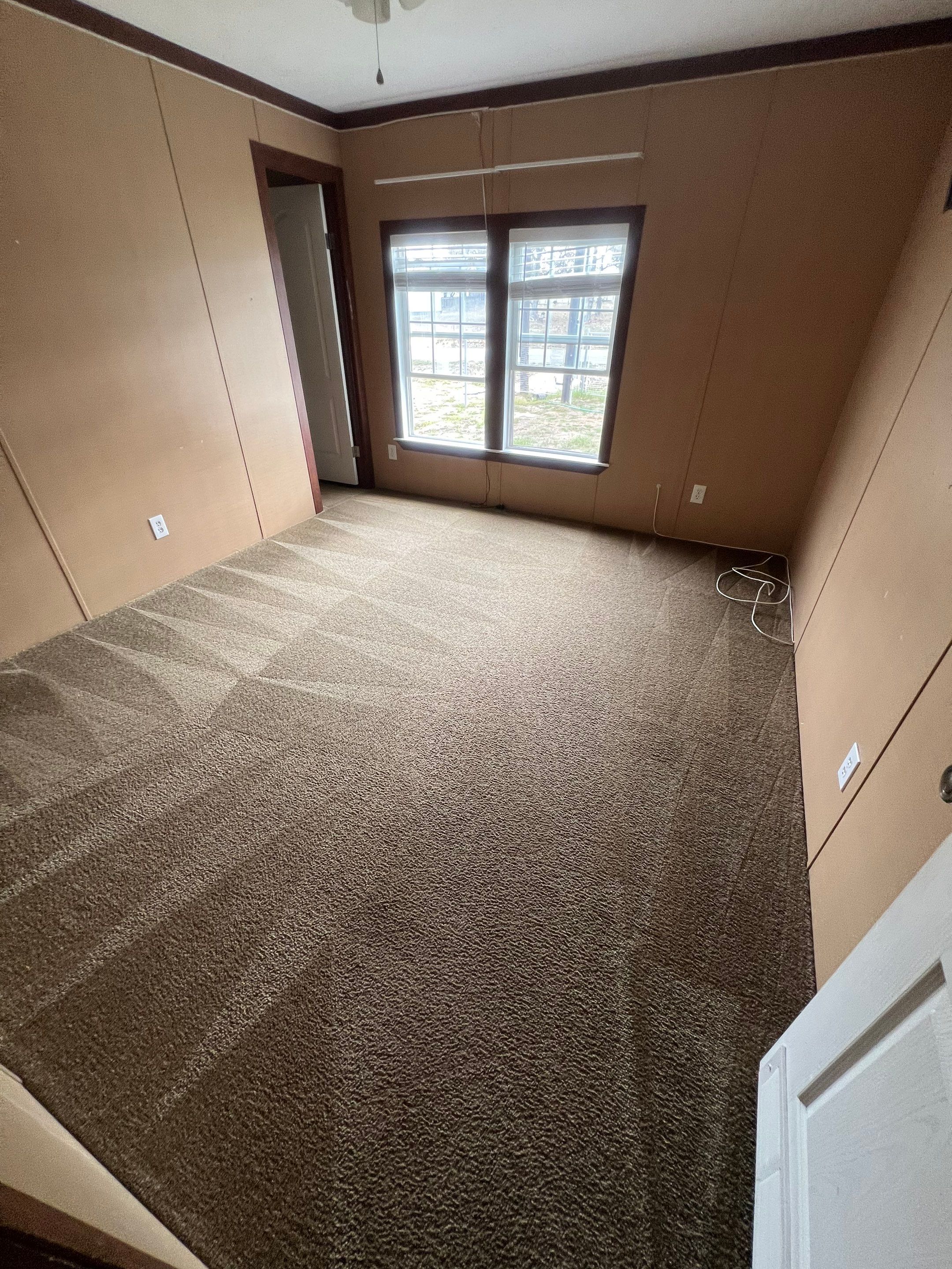 the service being done is carpet cleaning in an interior room with freshly cleaned carpet visible on the floor