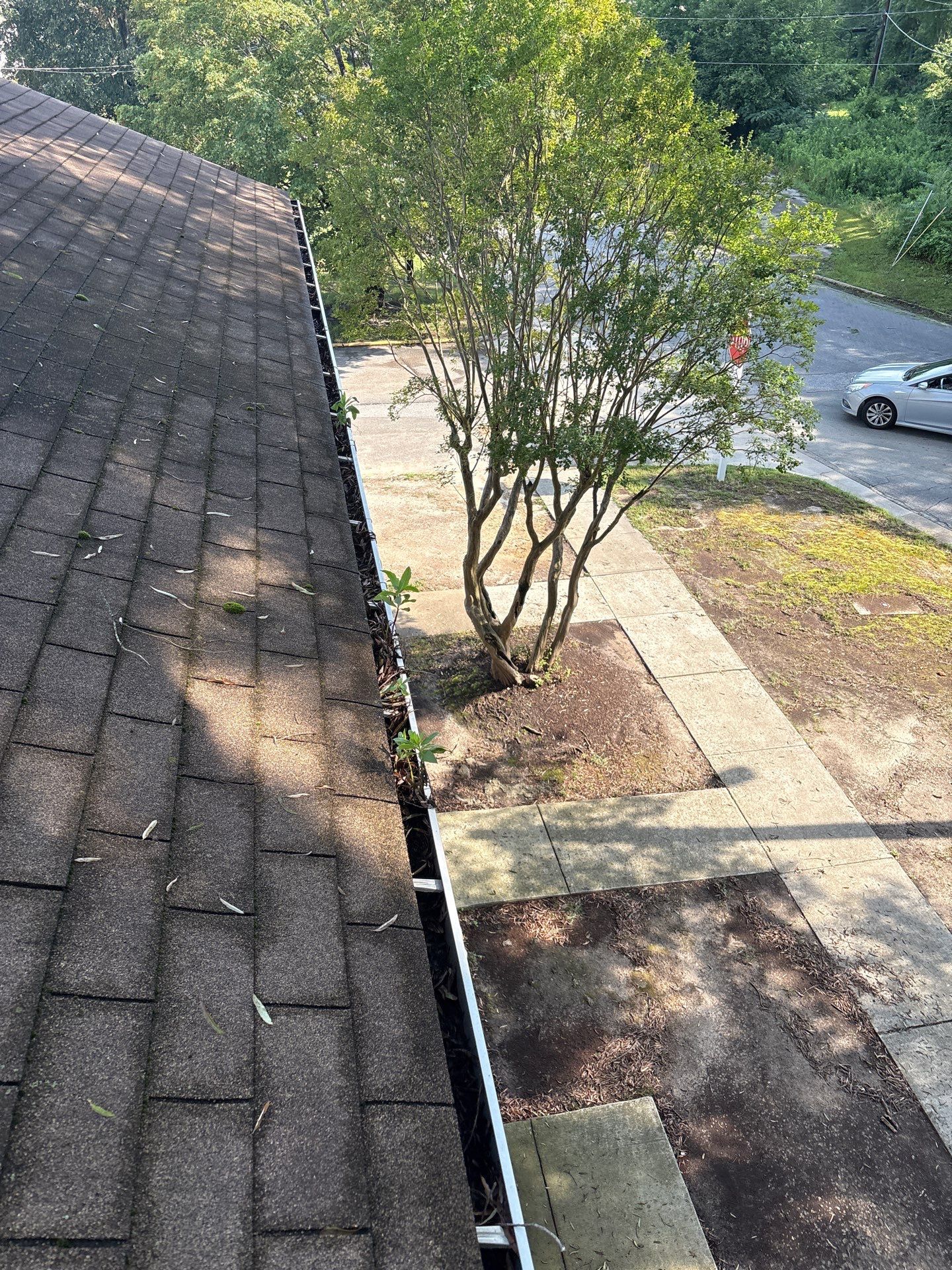 Commercial gutter cleaning Richmond before photo with filled gutters