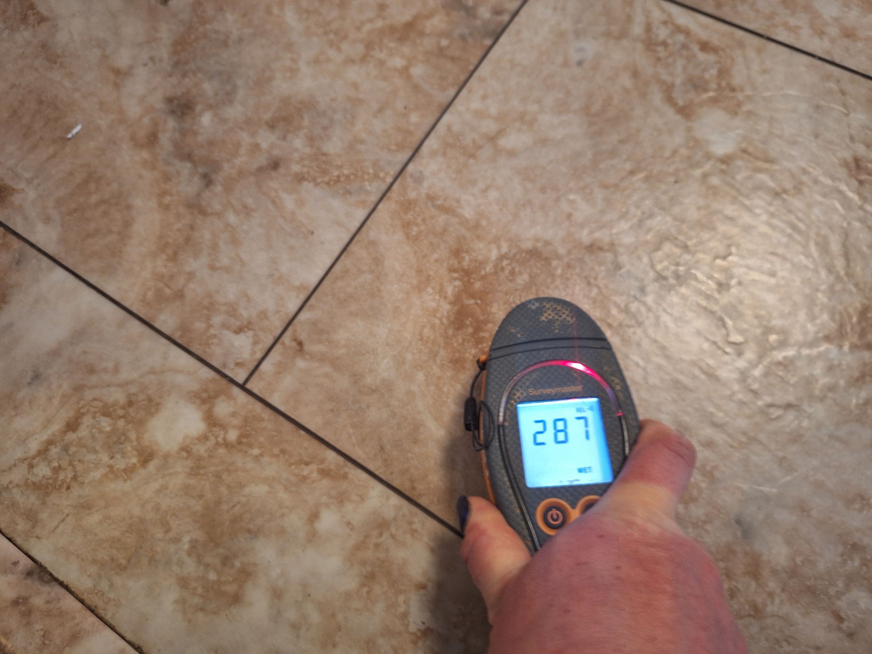 Mitigation and Repairs Project by ANR Restoration