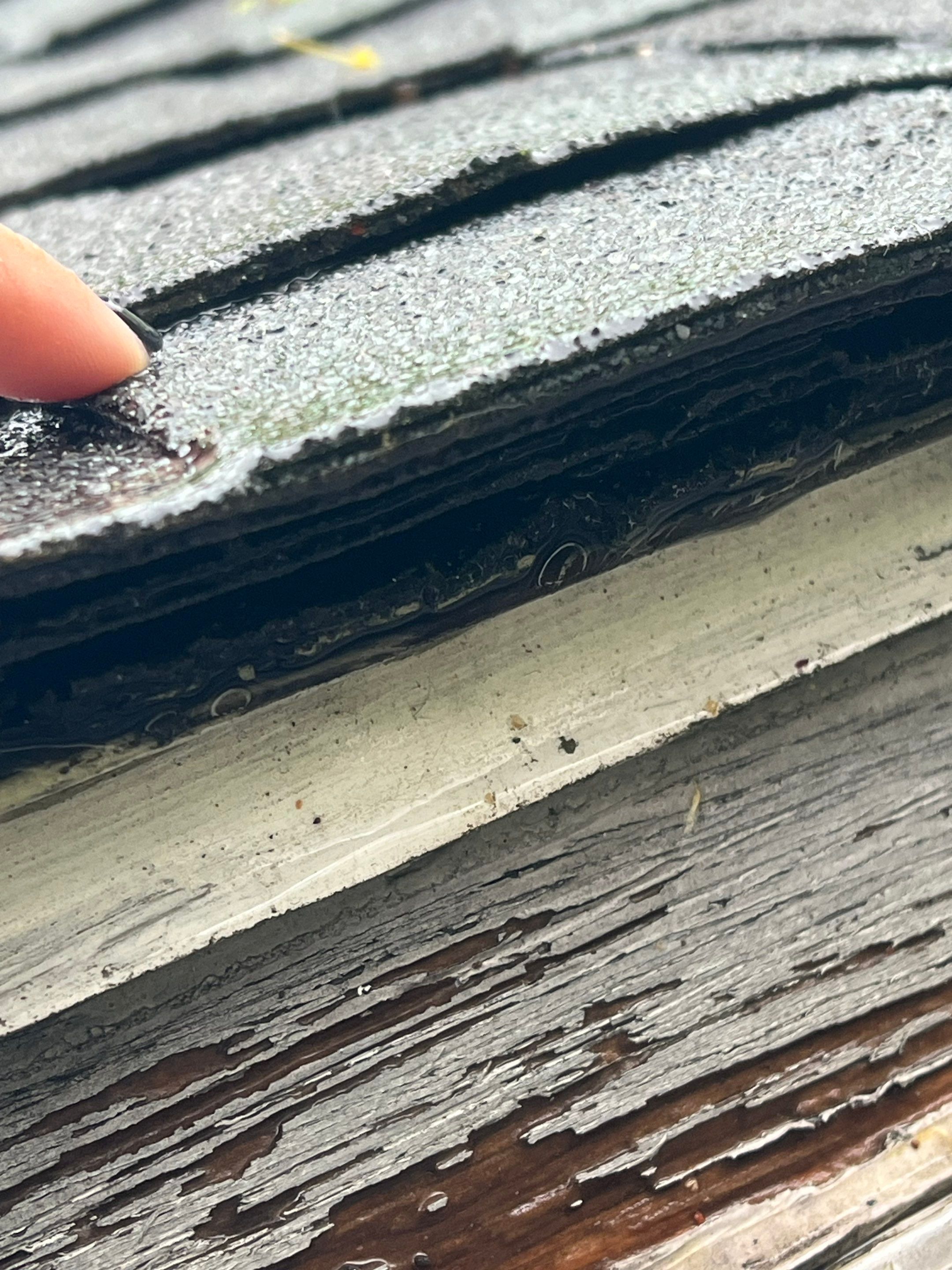 Gutters & Roofing | Acton by Mighty Dog Roofing of Greater Middlesex County