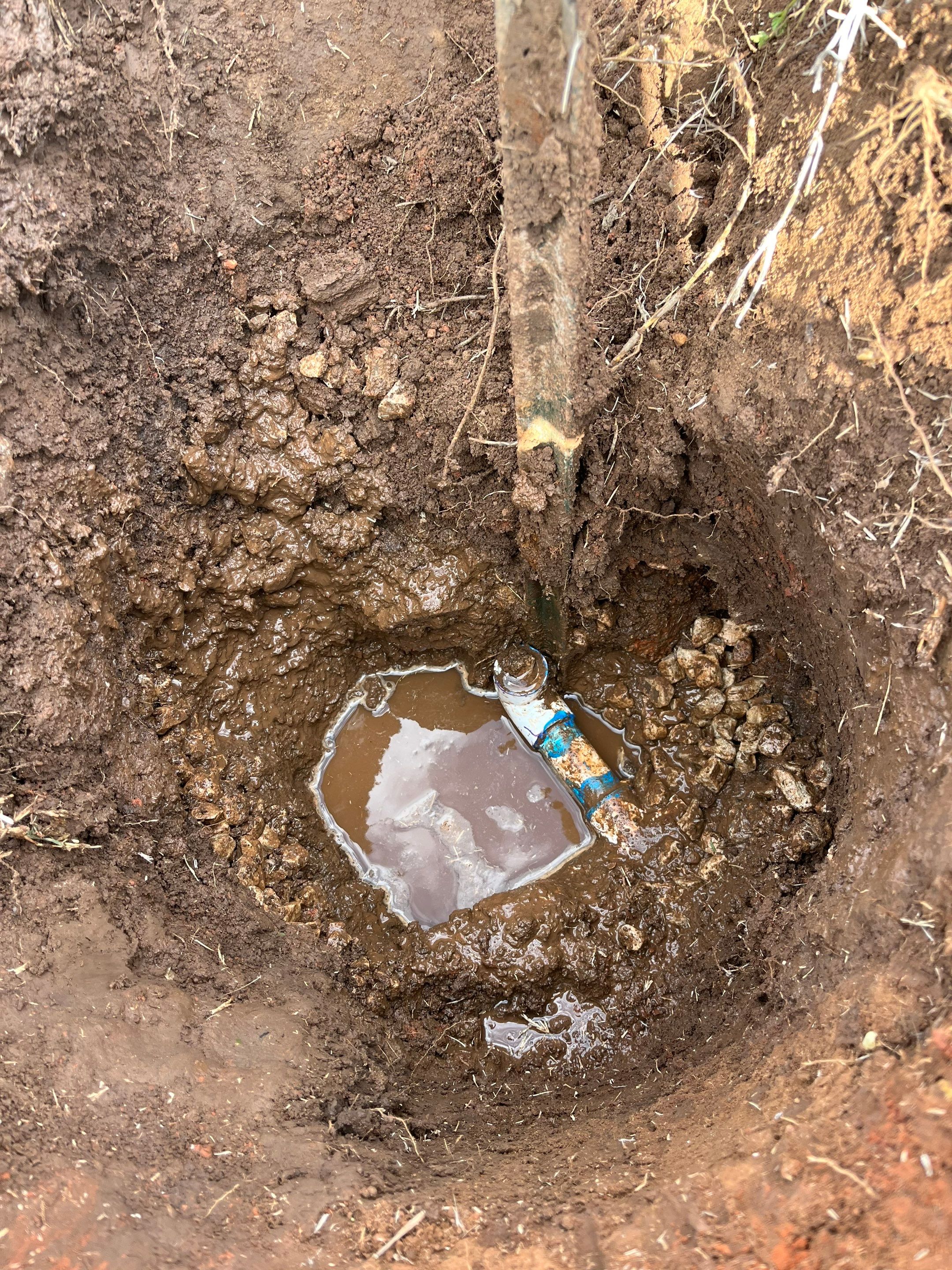 Project in Edmond by PRO-ROOTER