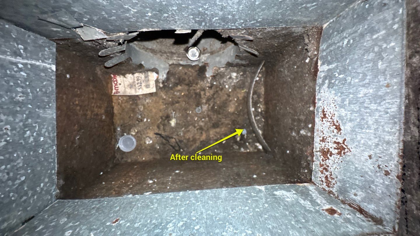 Extremely Dirty Air Duct Cleaning in Fruitland Park by Hygienic Air, Inc