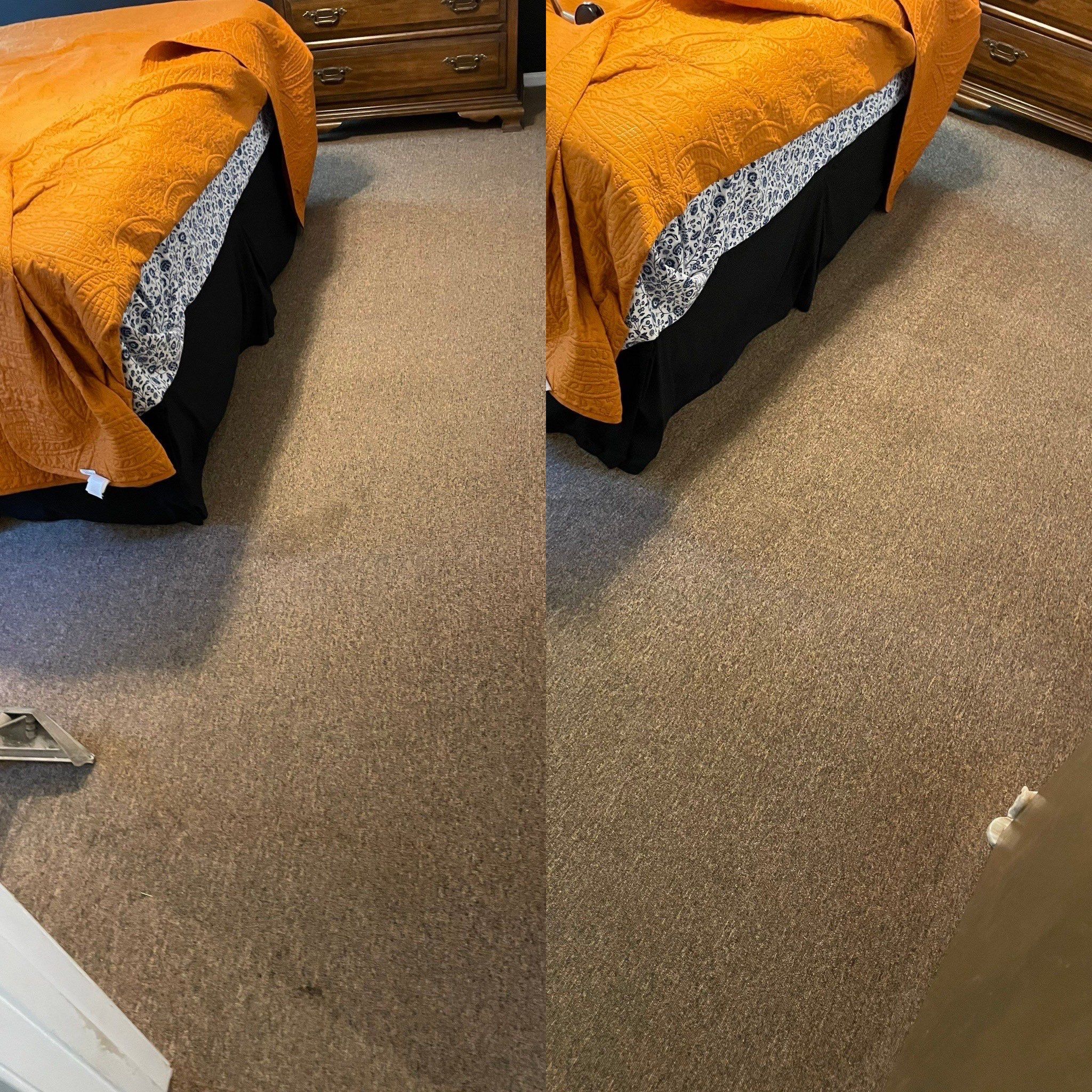 carpet deep cleaning showing before and after results performed in a bedroom setting featuring clean and refreshed carpet fibers