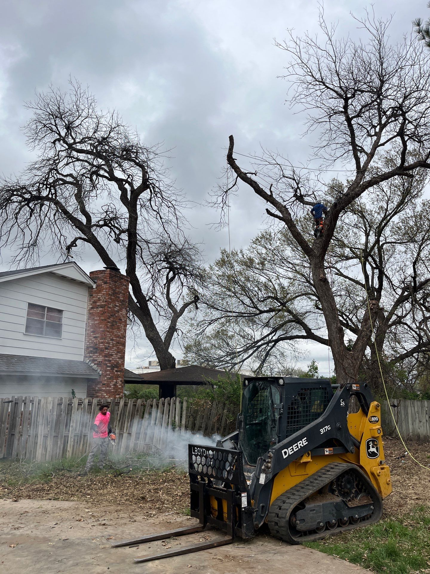 Tree Removal by Clays Services Inc