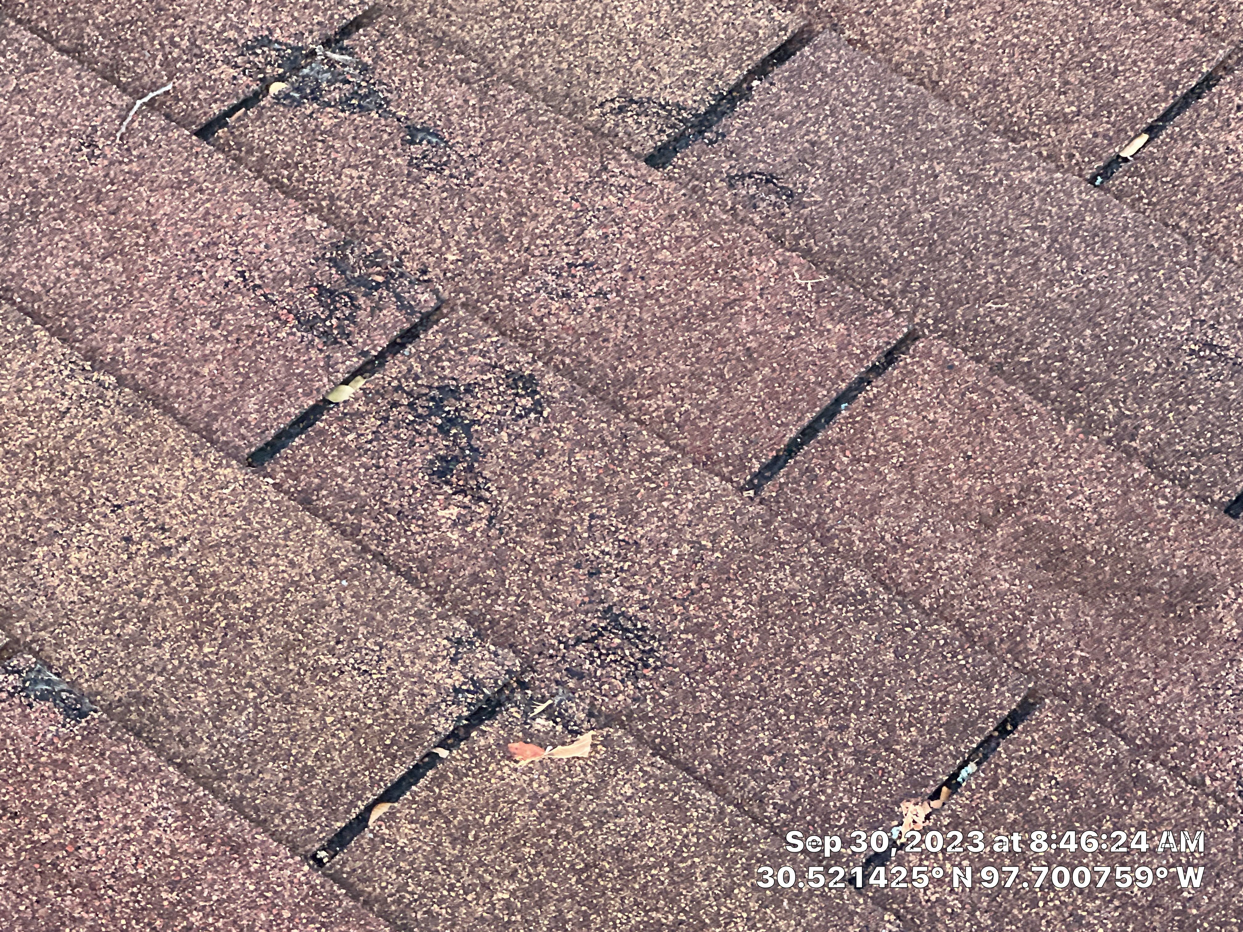 Architectural Shingle Roof Replacement and Underlayment Installation in Round Rock by Caliber Restoration LLC