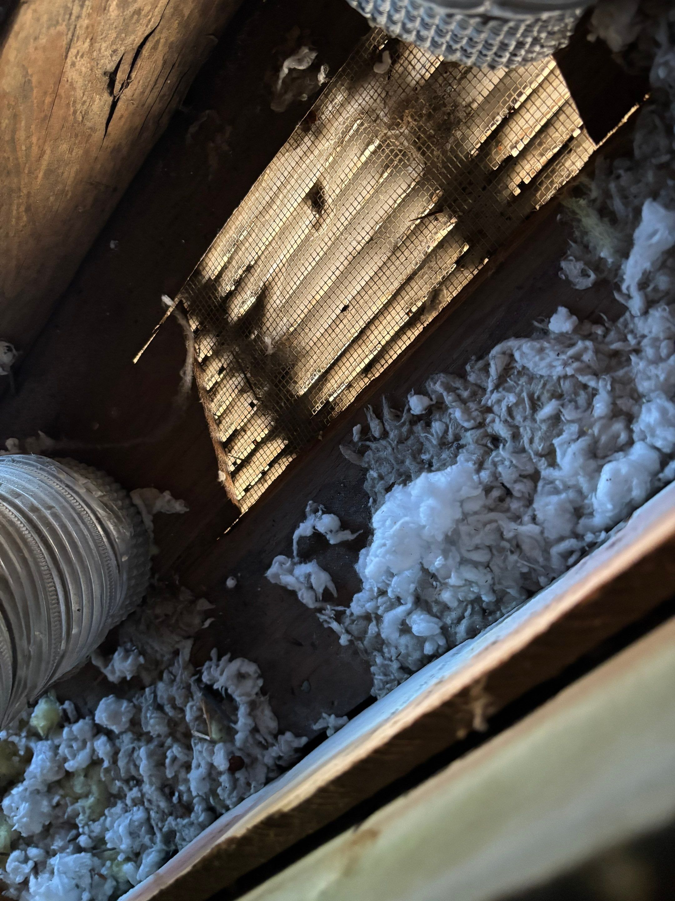 Roof Replacement using Owens Corning Williamsburg Grey by 180 Contractors