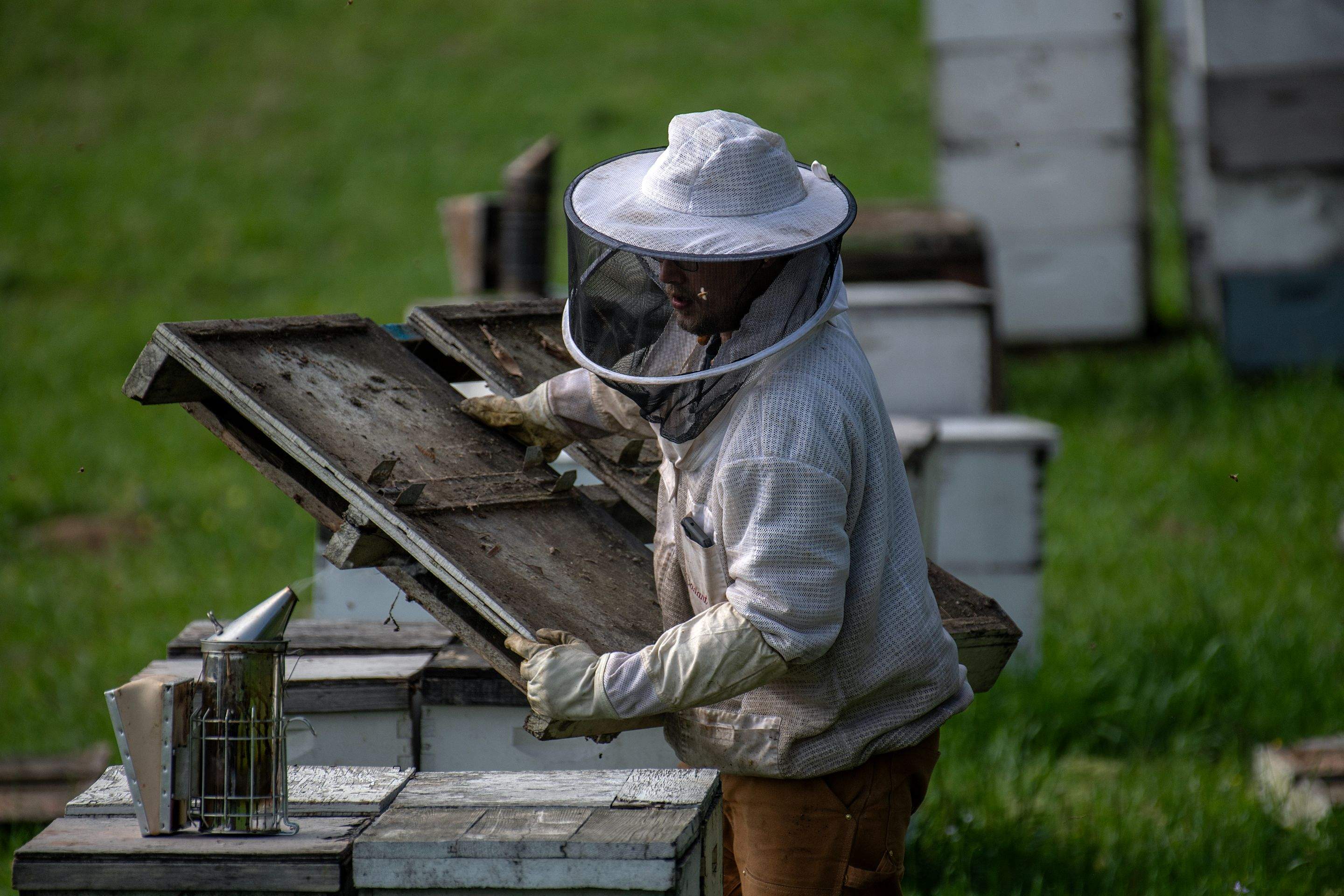 Splits in East Texas by Rockwall Honey Bee Company