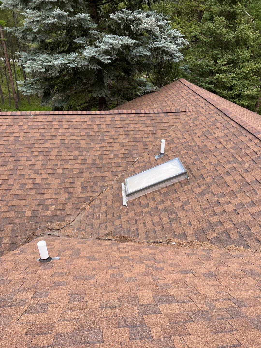 GAF Timberline HDZ - Hunter Green by Montana Roofing Solutions