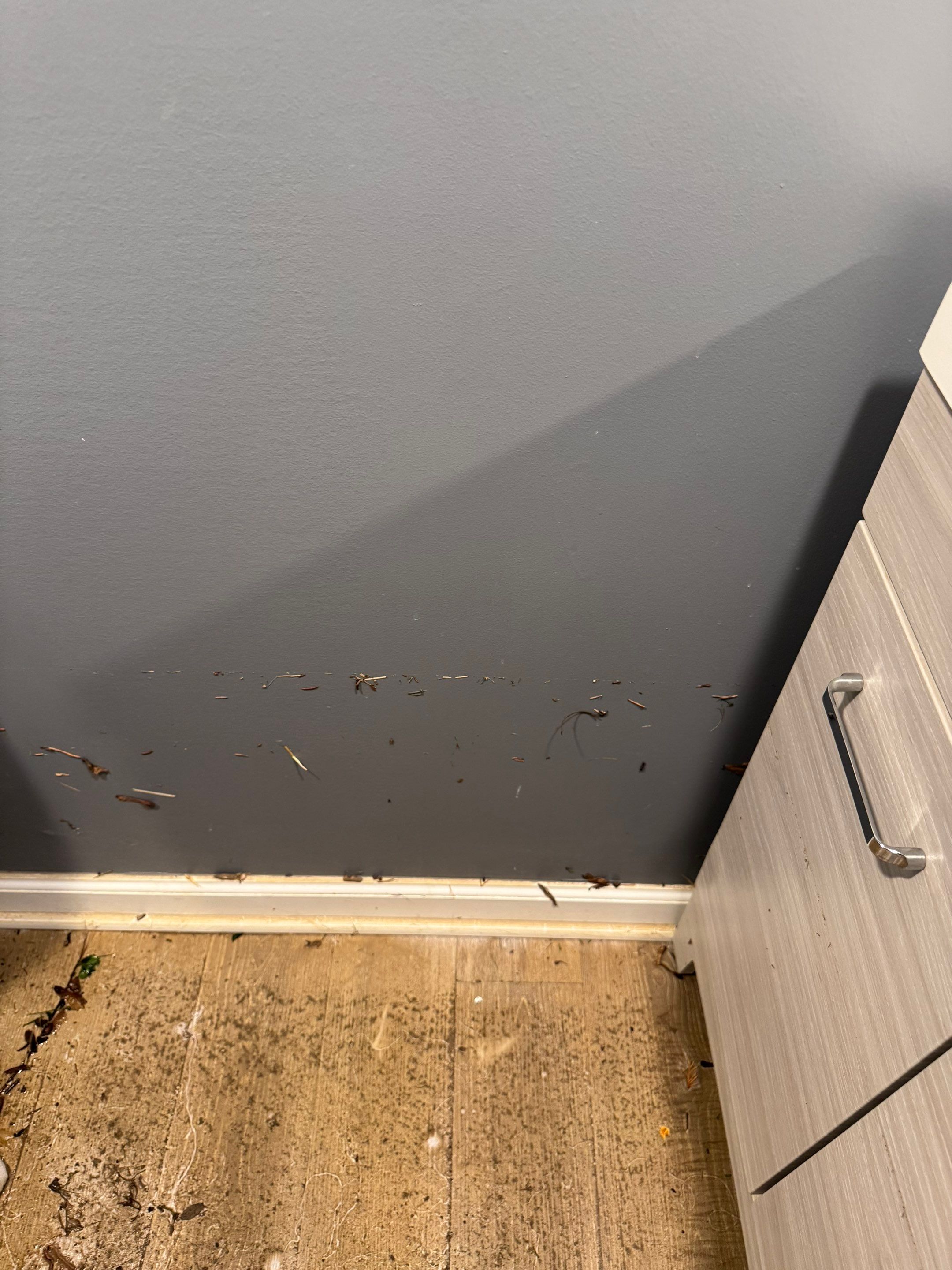 Project in Beverly Hills by EzDry Water Mitigation & Property Restoration