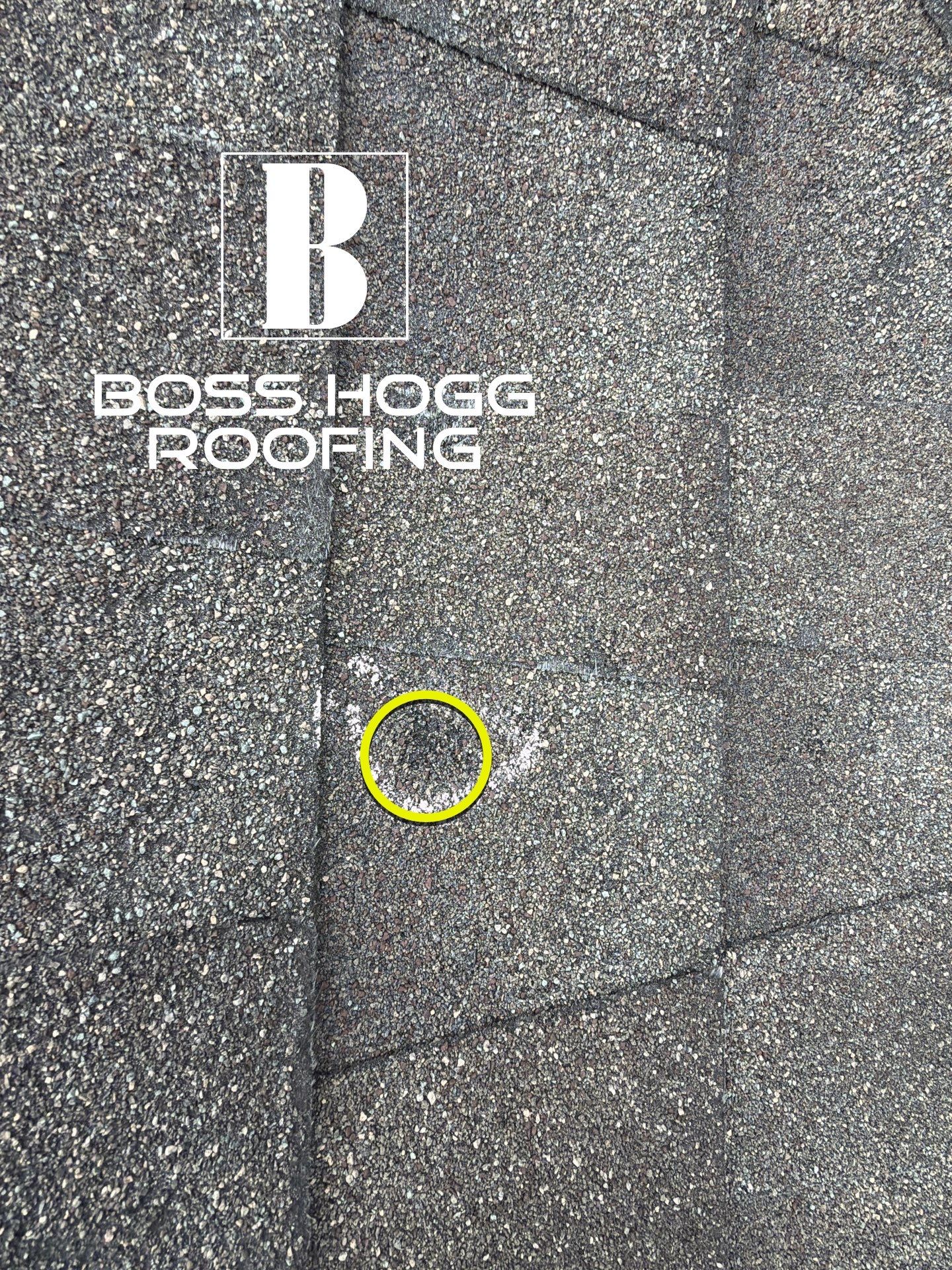 Paul Inspection by Boss Hogg Roofing
