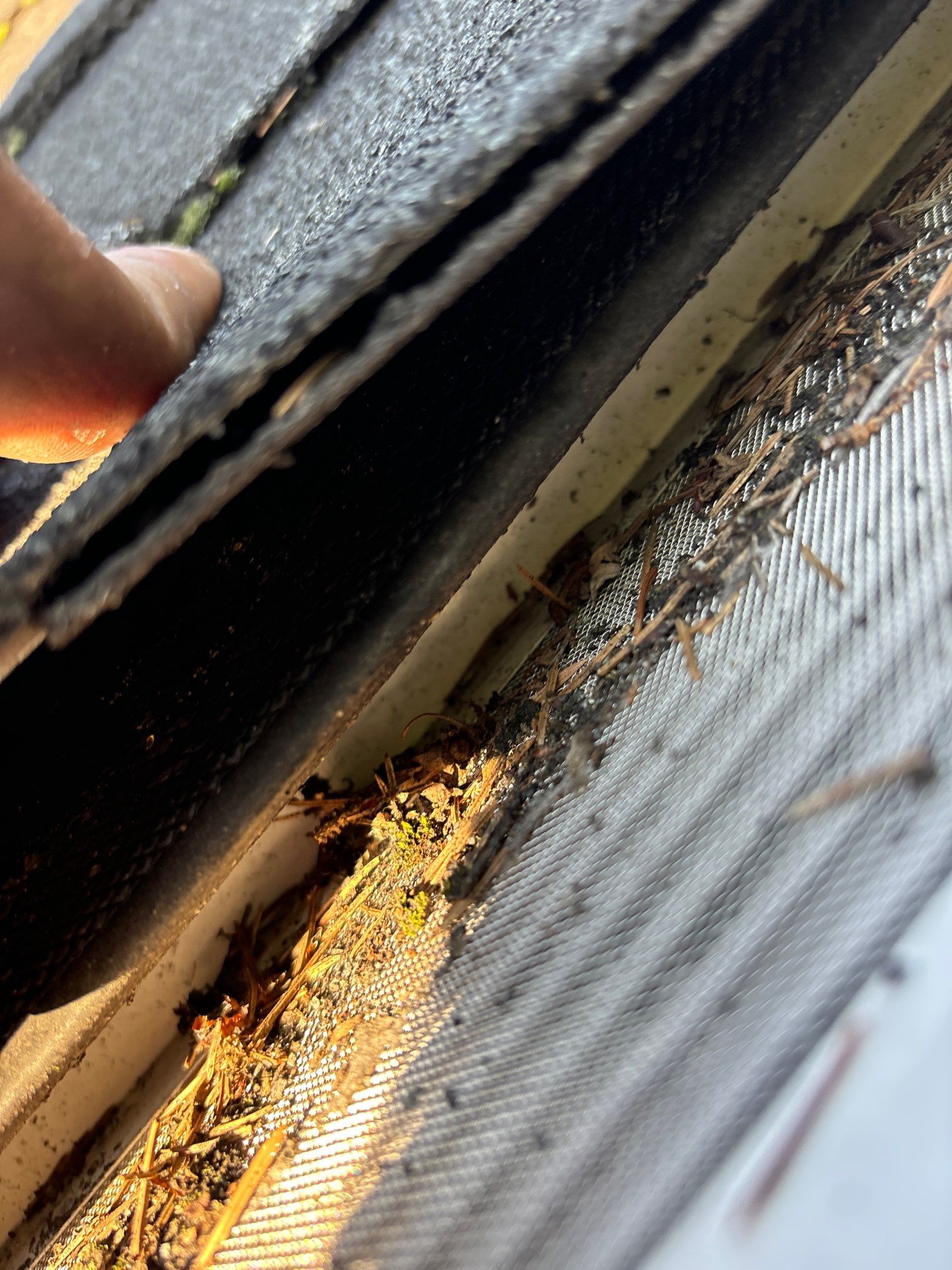 Roof Replacement using Owens Corning Chateau Green by 180 Contractors