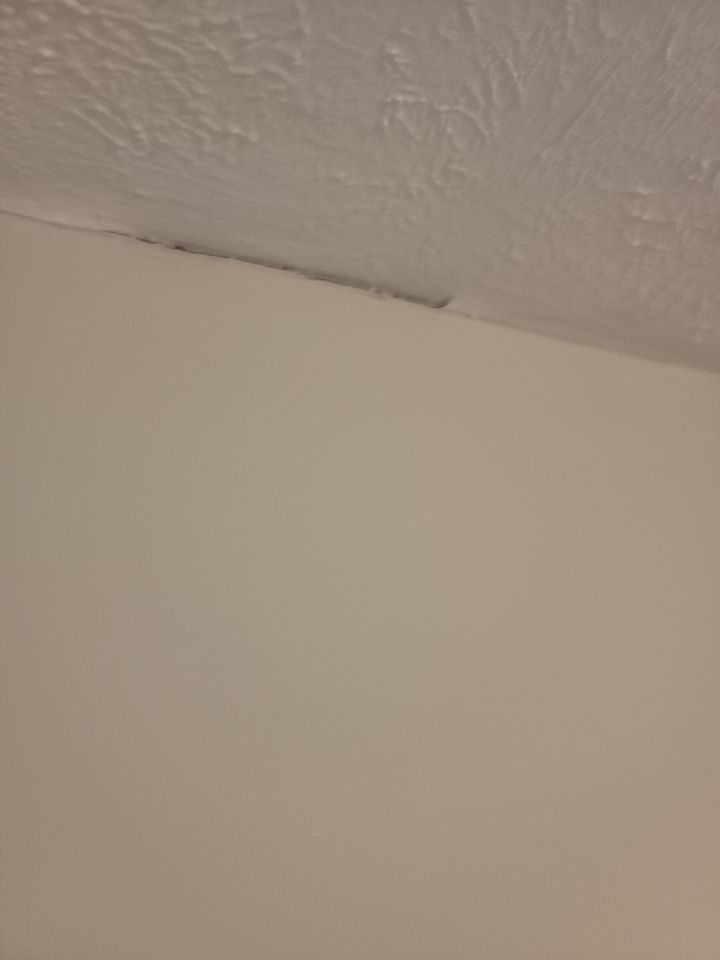 Interior Roofing Repairs in Louisville, KY by ANR Restoration