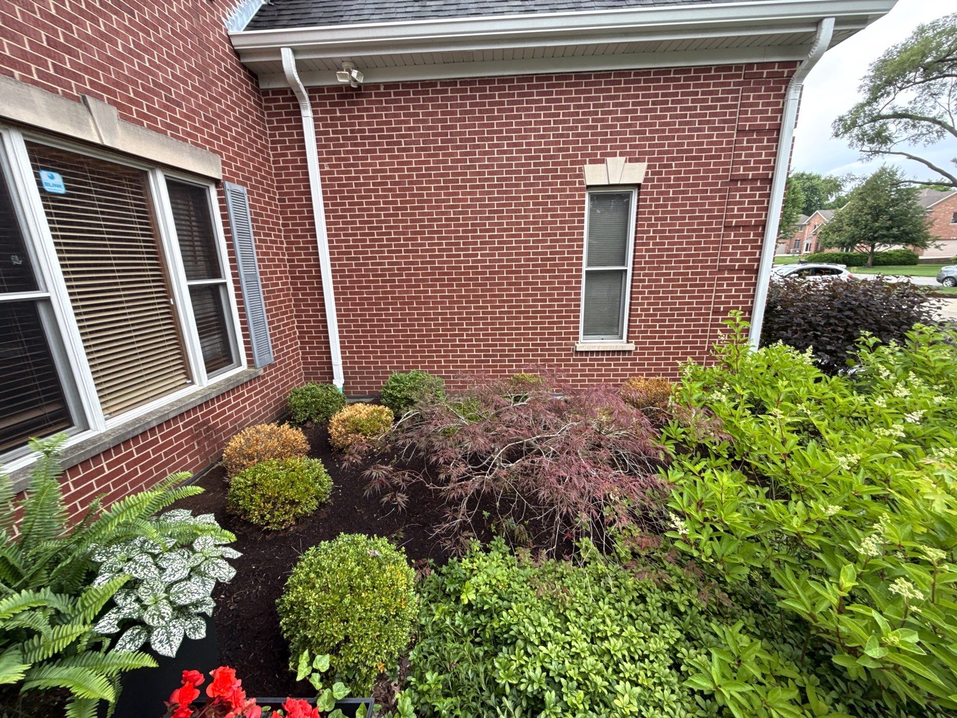 Rob M. - Arlington Heights, IL by A&N 