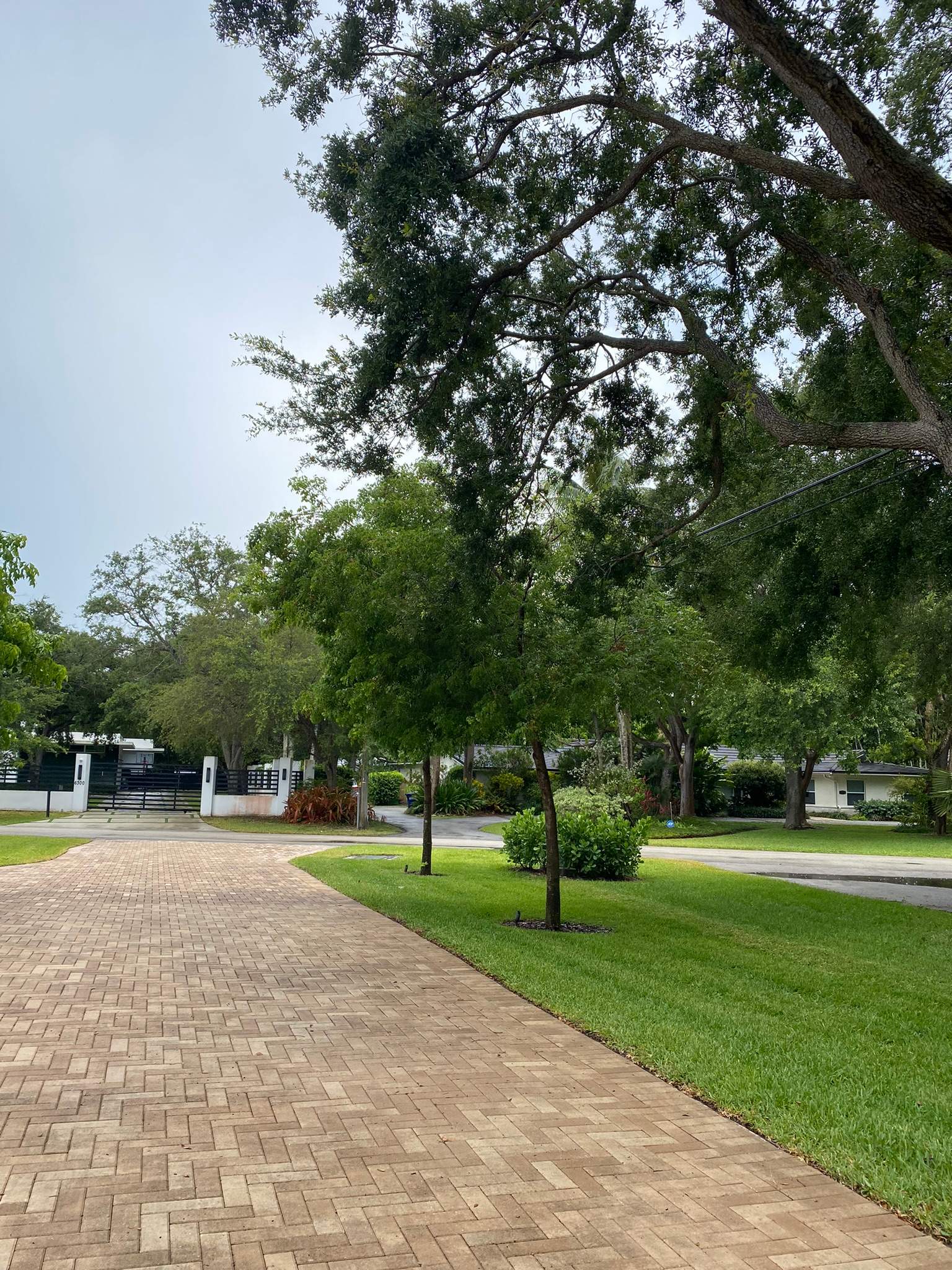 Backyard Landscape Renovation by Nature's Dream Landscape and Tree Service