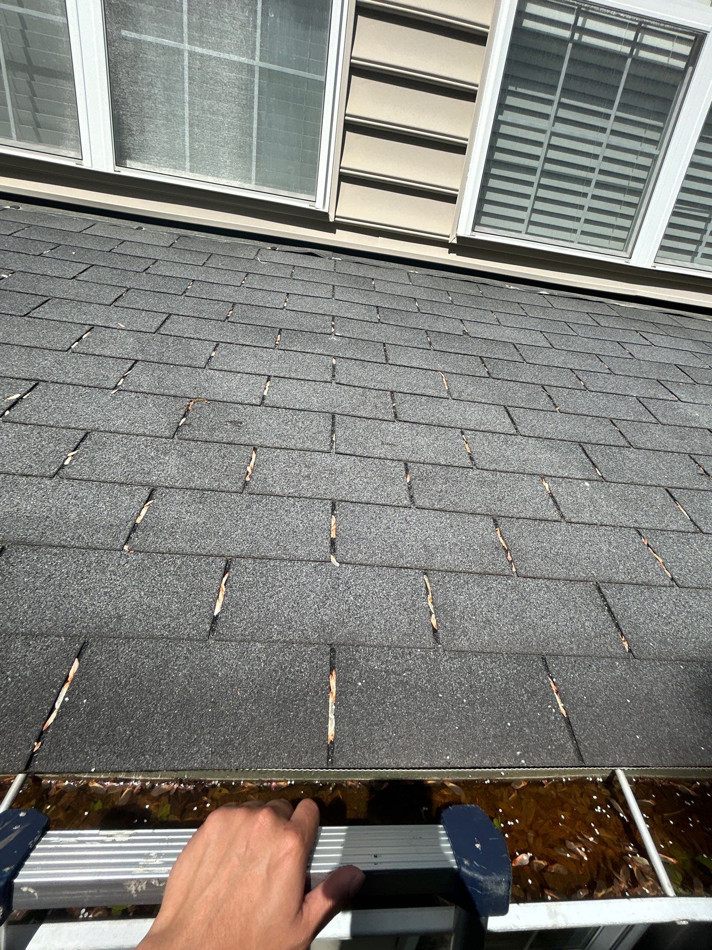 Reston Roof Replacement with CertainTeed Landmark PRO in Max Def Moire Black by RM Banning, Inc.