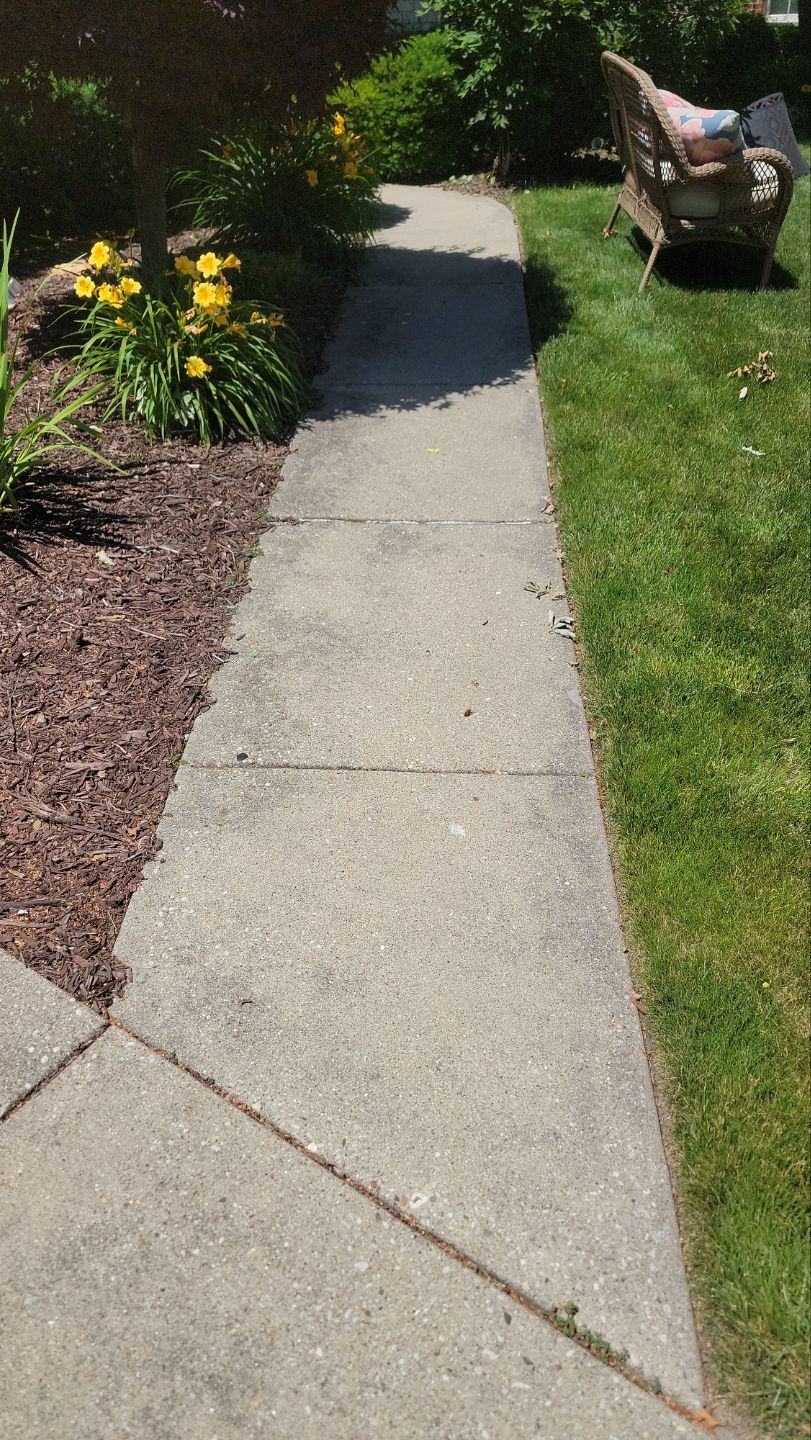 concrete power washing Algaecide, soft wash soap by Northern Power Washing LLC.