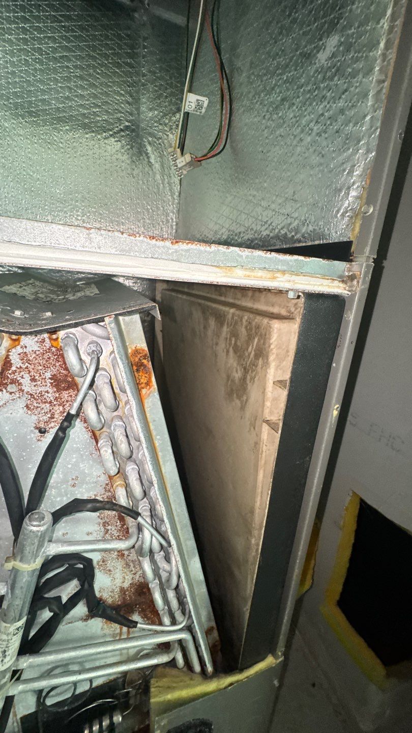 Air Duct and Dryer Vent Cleaning in Orlando by Hygienic Air, Inc