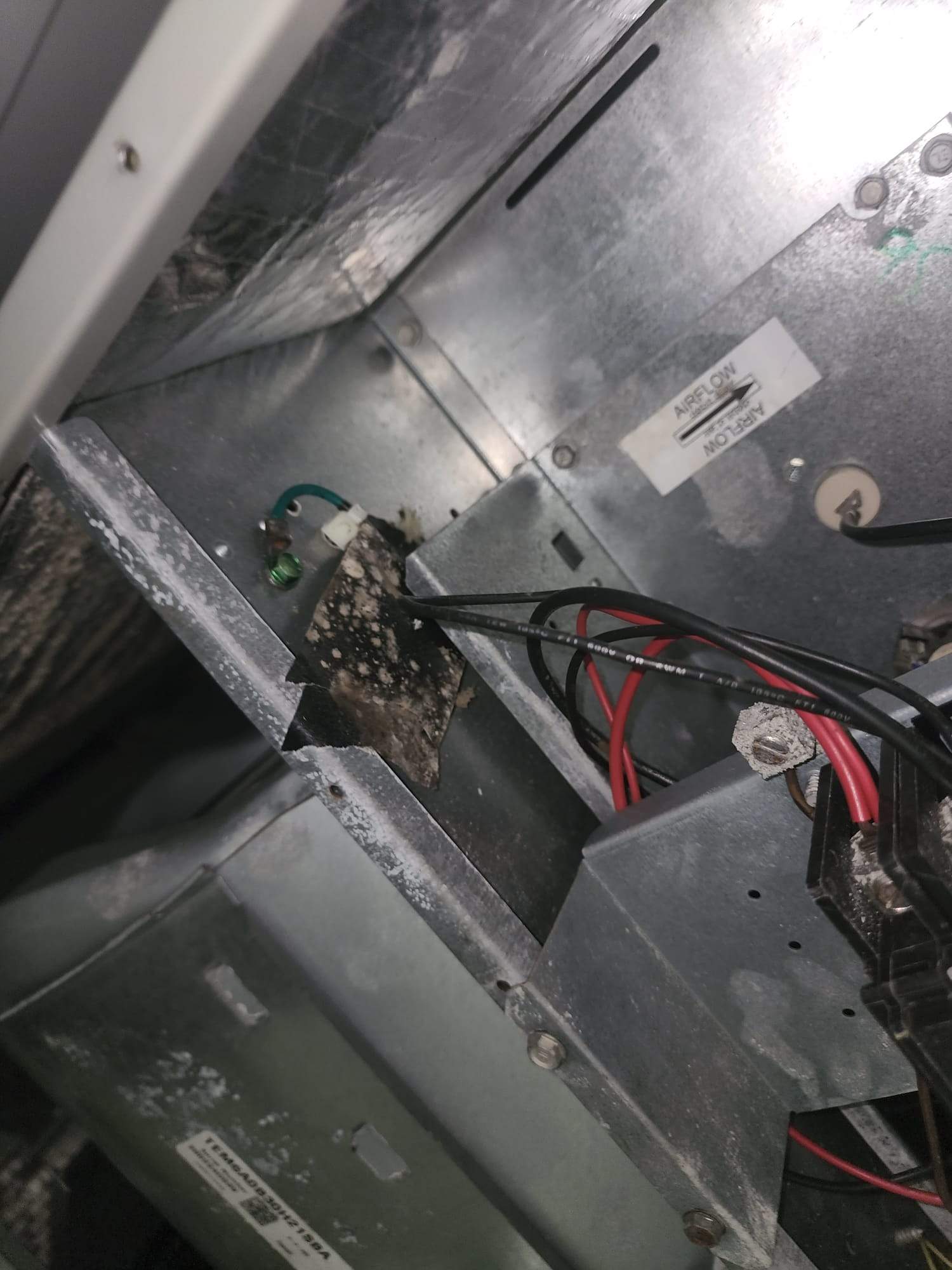 Holmes Beach AC Mold Deep Cleaning by Ampm Restoration Services
