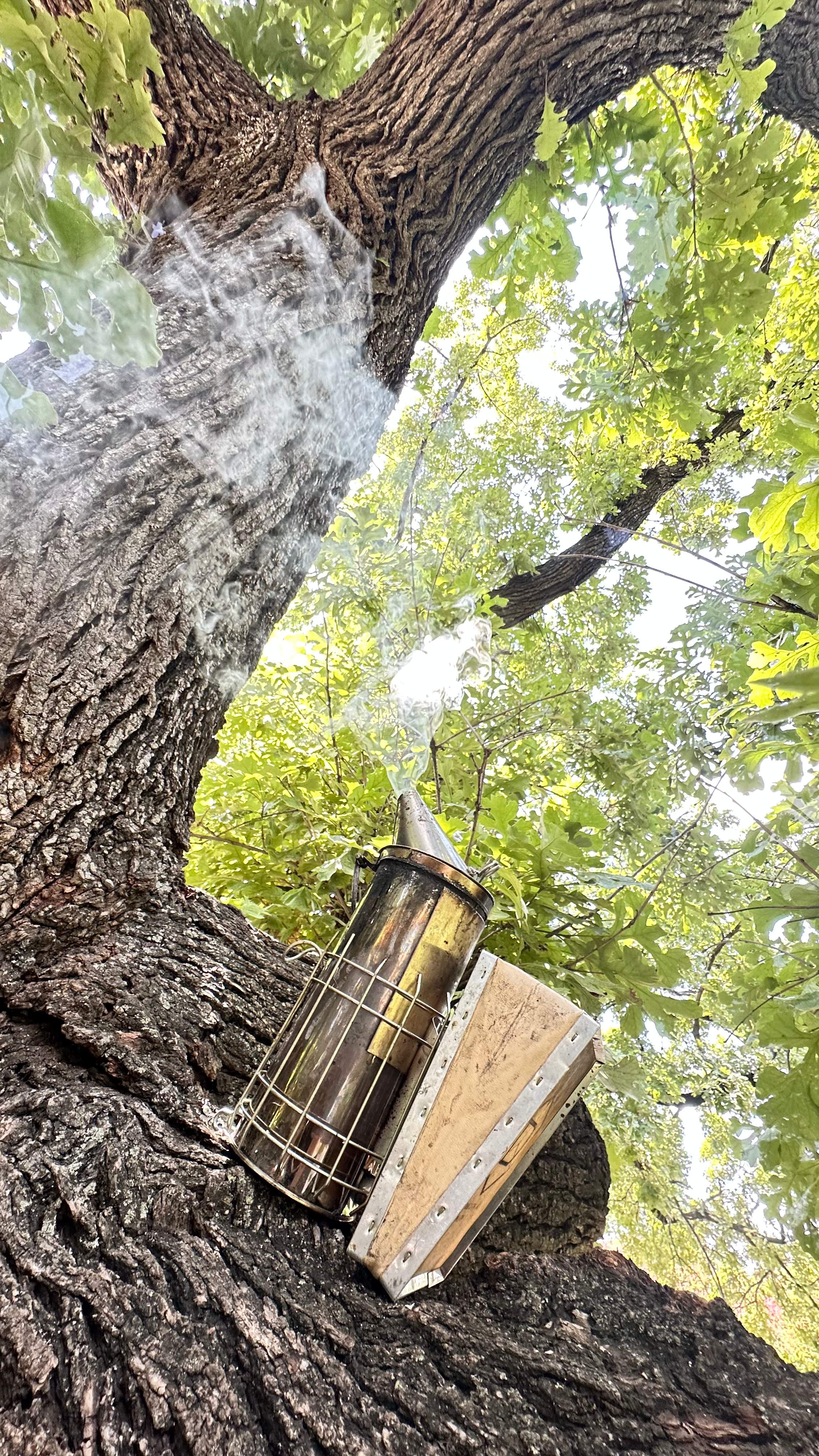 Tight Squeeze by Rockwall Honey Bee Company