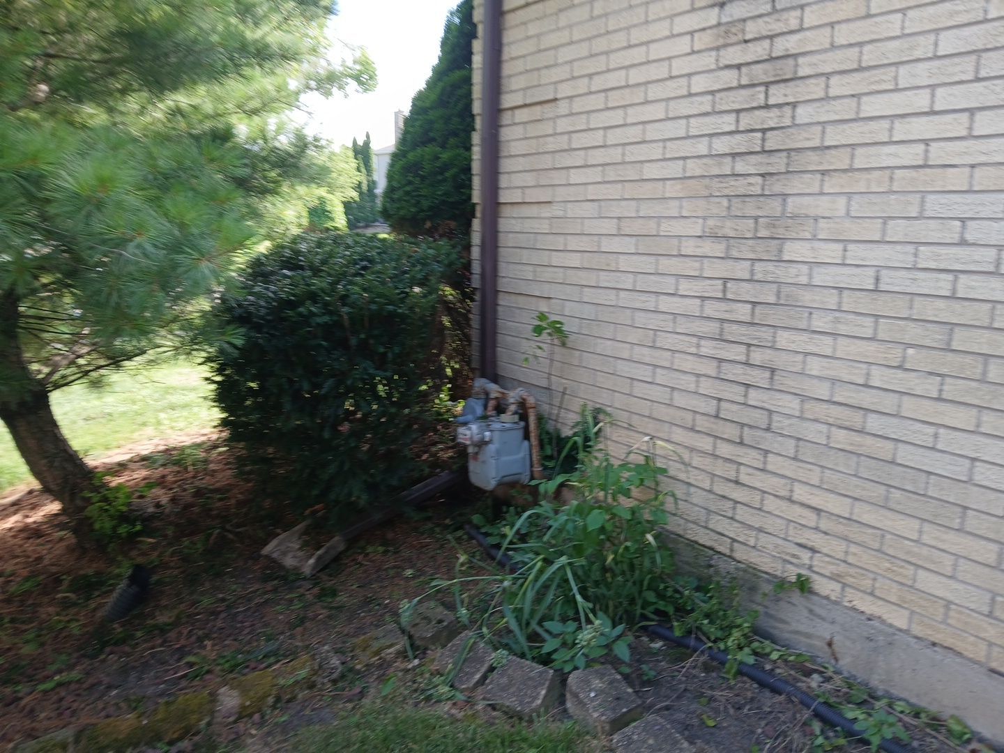 Andrew L. - Arlington Heights, IL by A&N