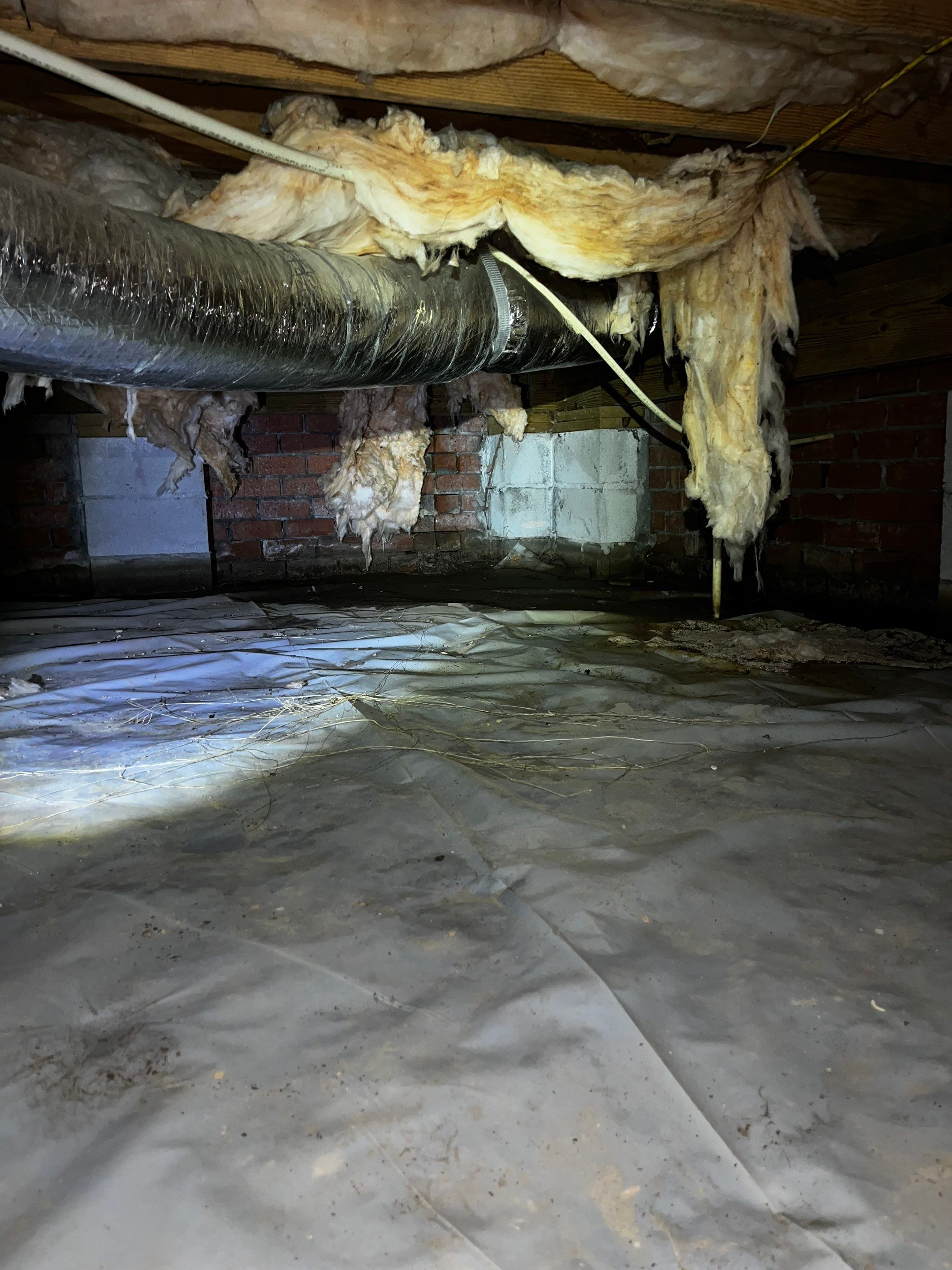 Impact Choice Encapsulation with French Drain and Crawlspace Doors by Impact Crawlspace