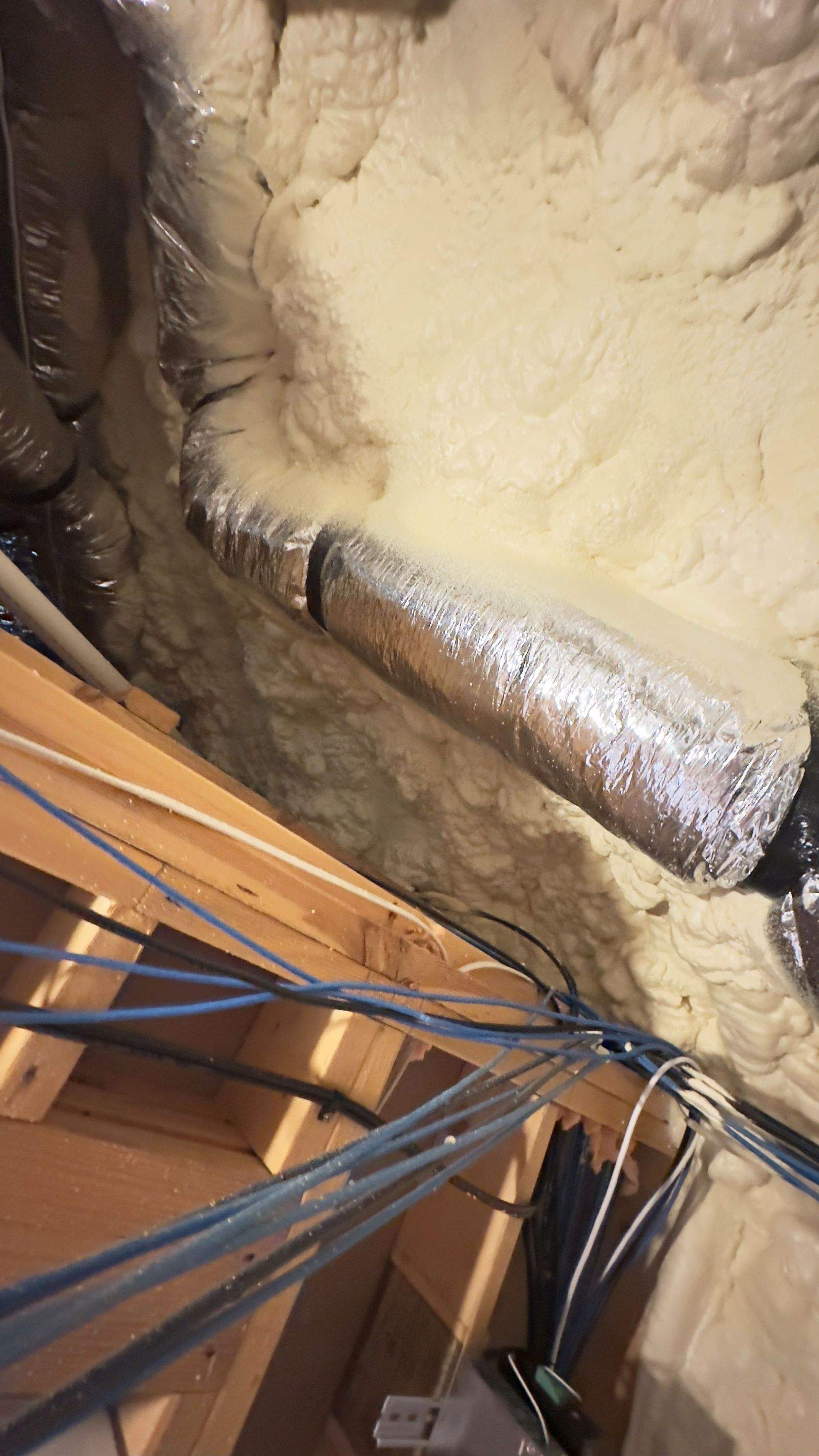 Hide-and-Seek by Rockwall Honey Bee Company