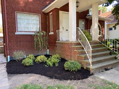Landscape Install