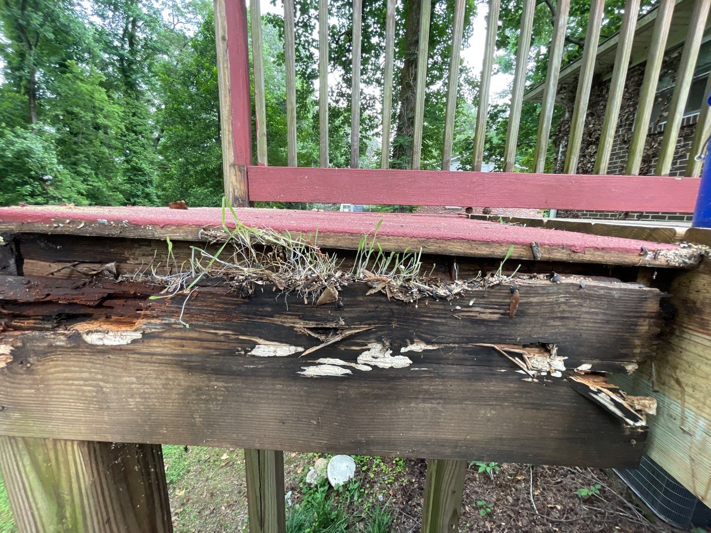 Forest Brook - Staircase by Pillar and Pine