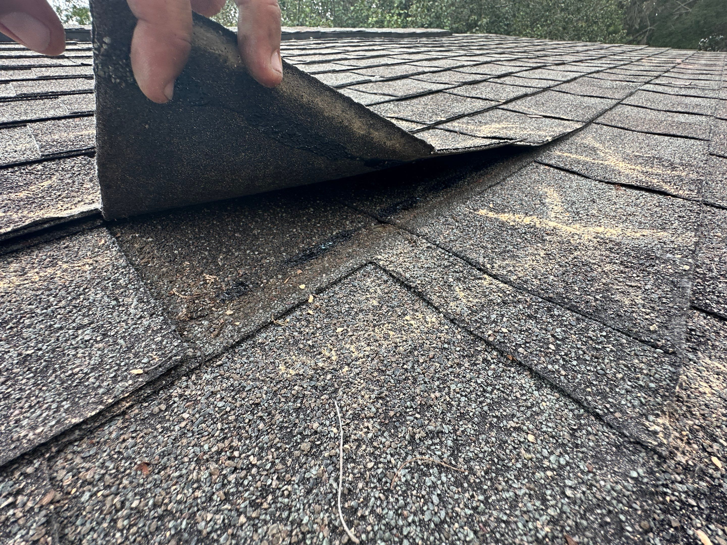 Roof Damage Claim in Pinetta by FLAPA & KeyStone