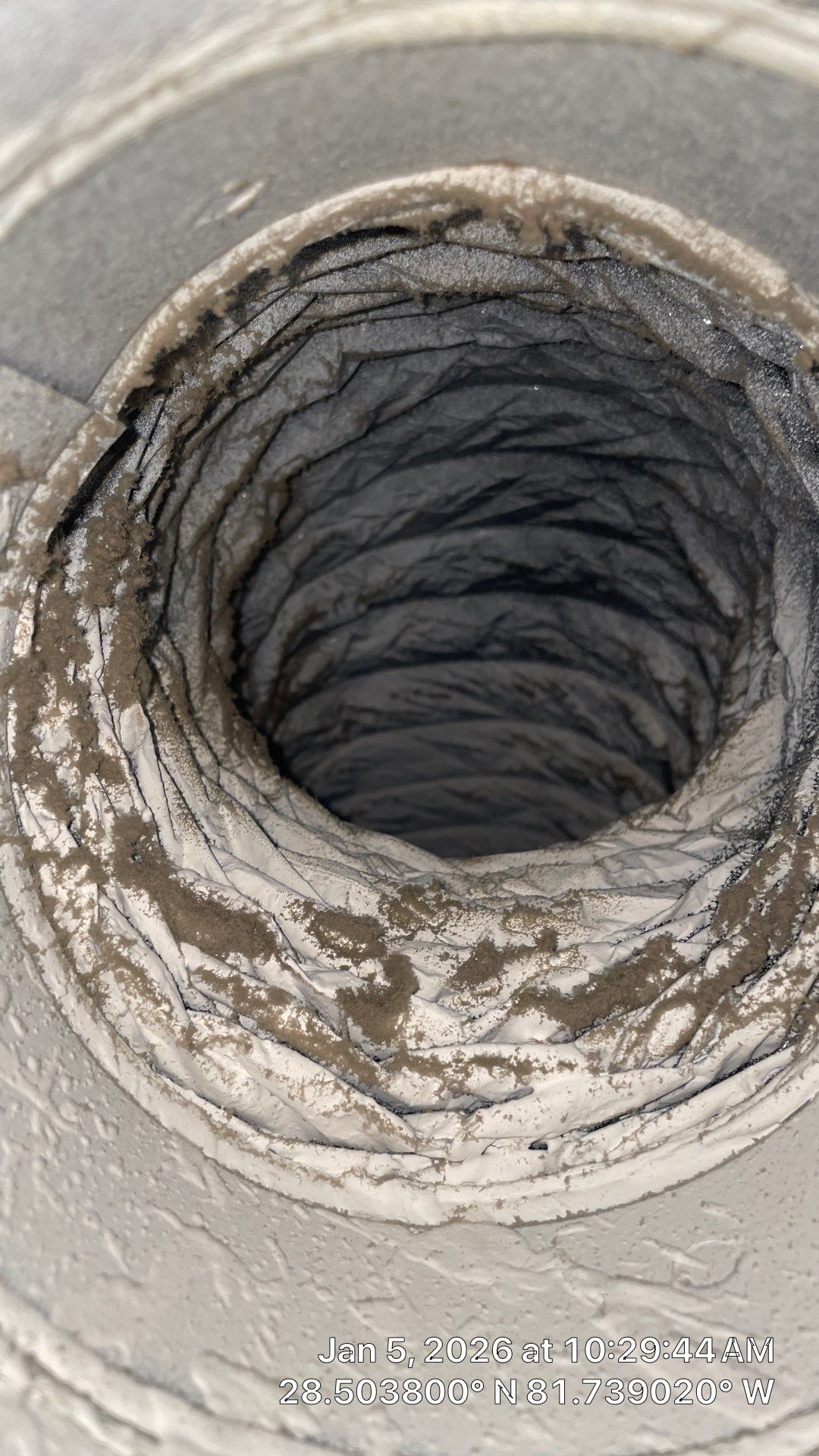 Air Duct and Dryer Vent cleaning in Clermont by Hygienic Air, Inc