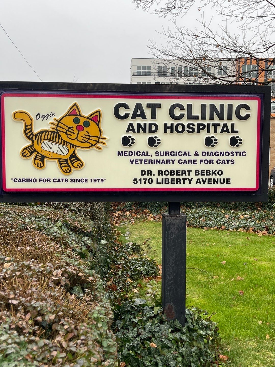 Cat Hospital Project in Pittsburgh by Floors in a Day, Inc