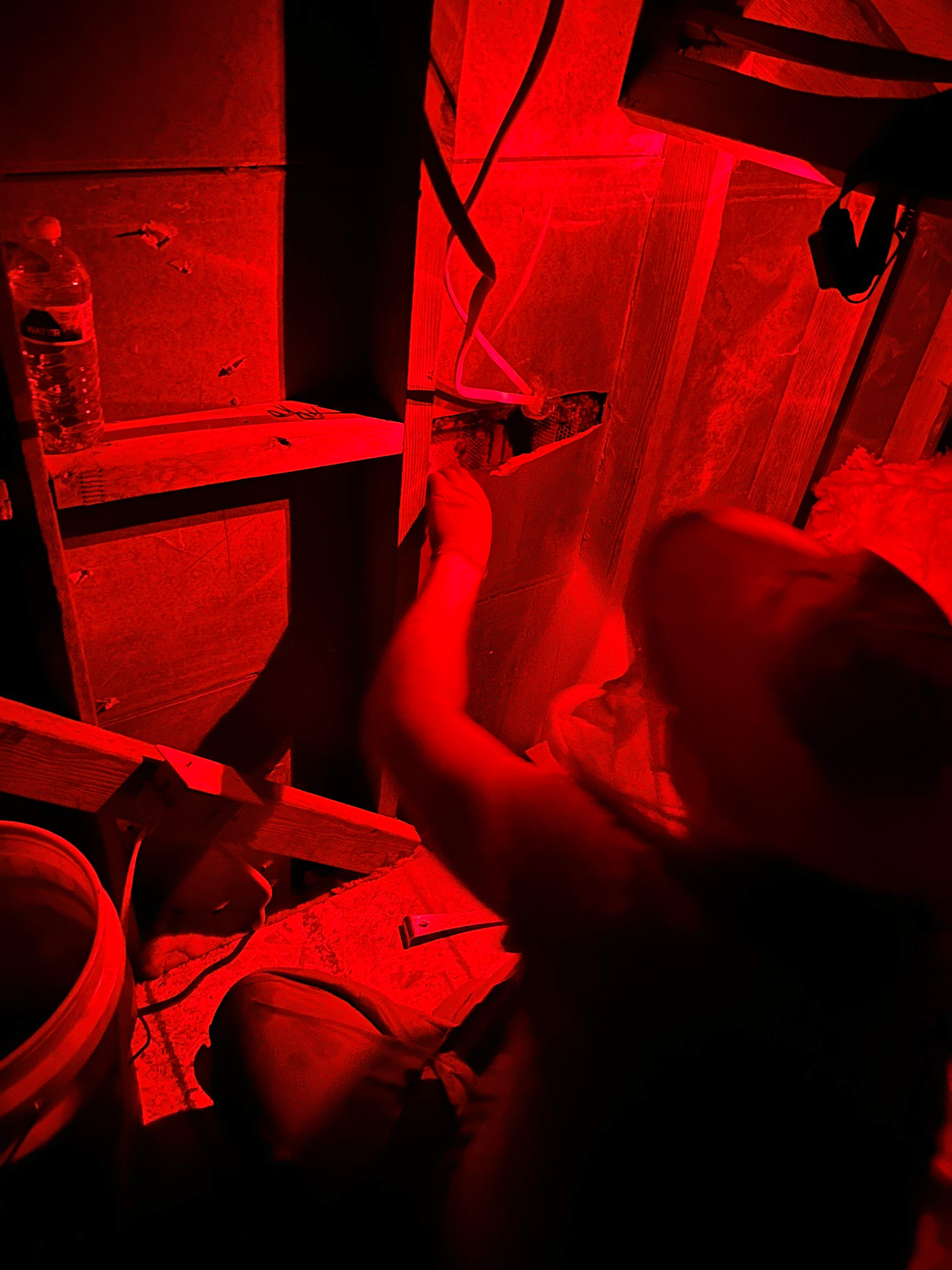 Red Light Attic by Rockwall Honey Bee Company