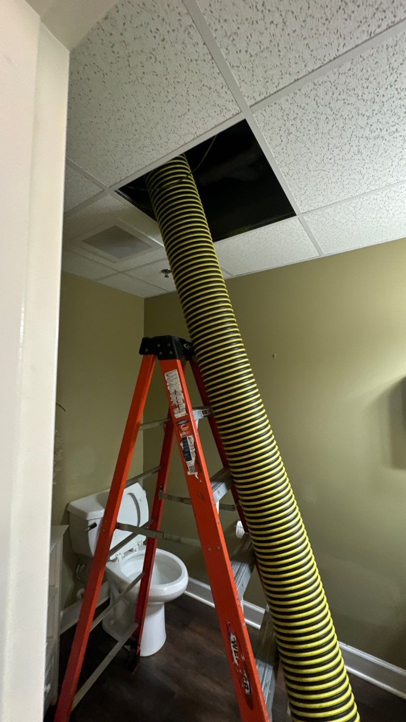Commercial Air Duct Cleaning in Lake Mary by Hygienic Air, Inc